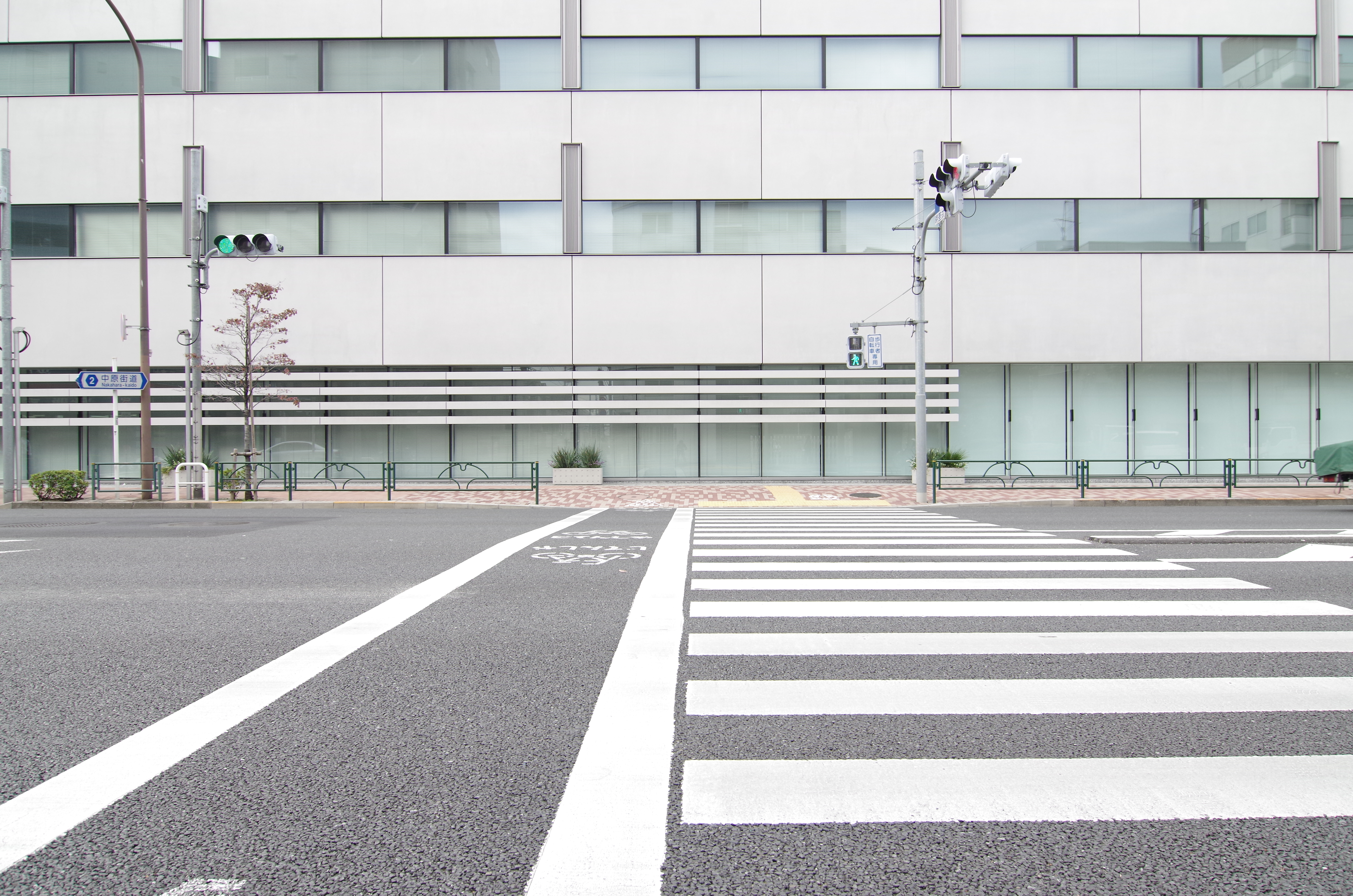 <b>15mm / ディストーション補正OFF / 倍率色収差除去OFF</b>