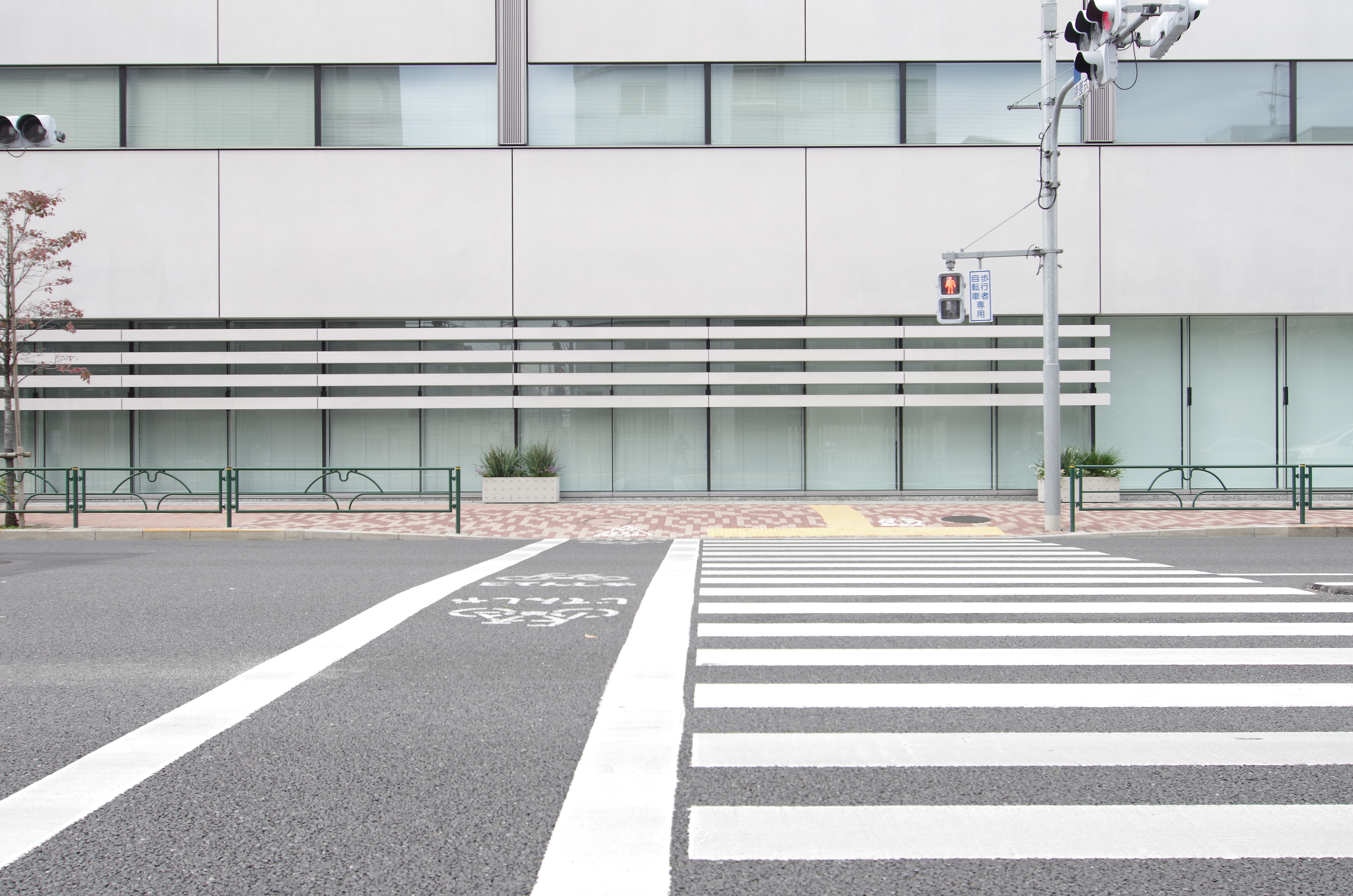 <b>24mm / ディストーション補正OFF / 倍率色収差除去OFF</b>