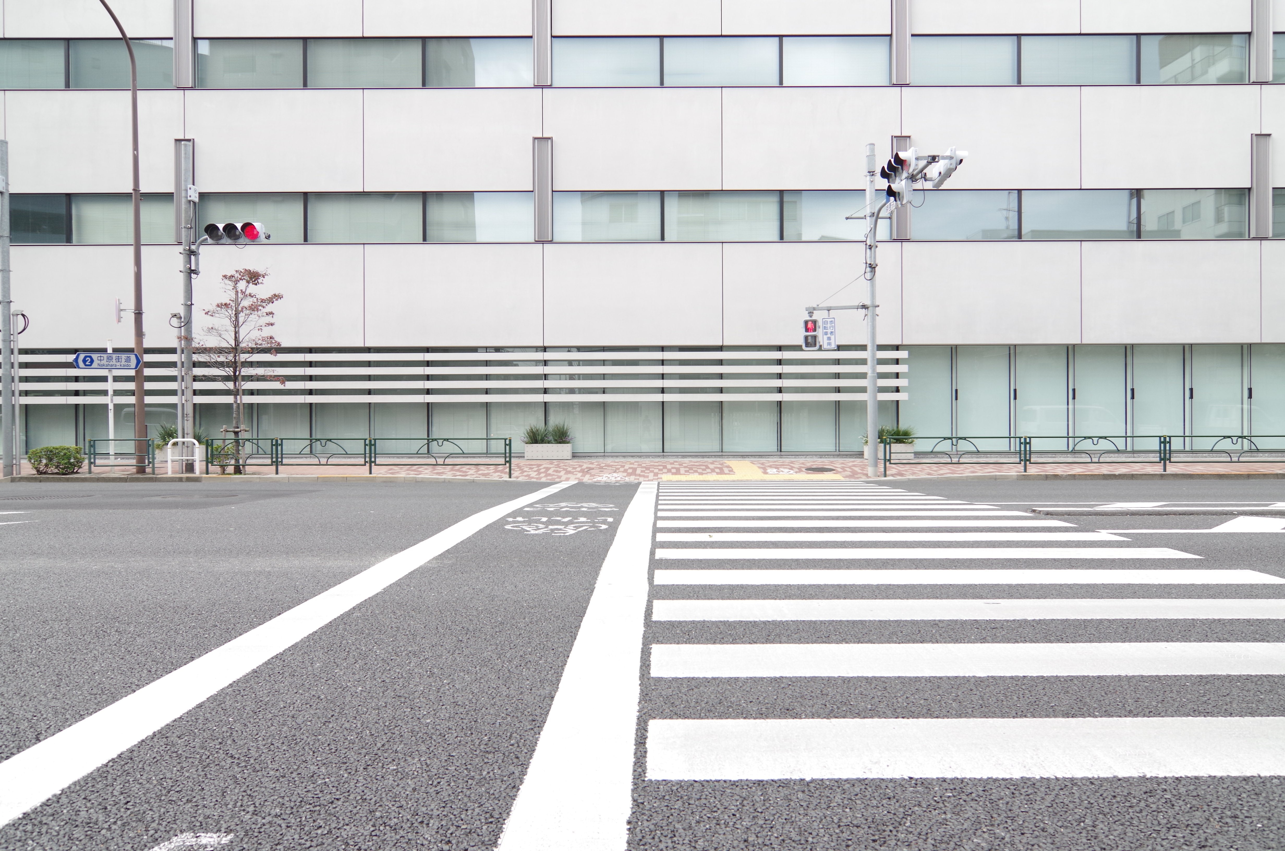 <b>15mm / ディストーション補正ON / 倍率色収差除去ON</b>