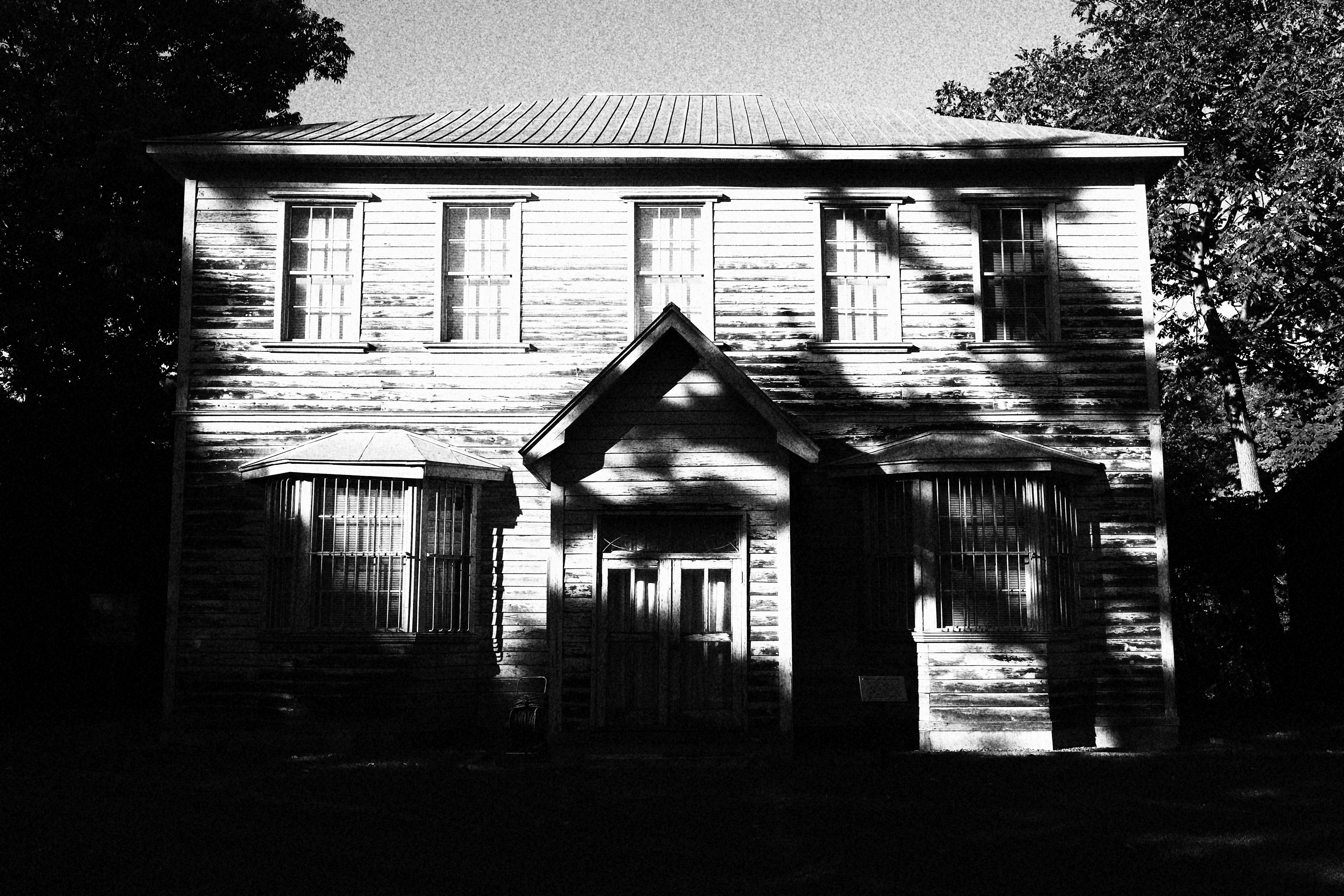 <b>ラフモノクロ（コントラスト: 標準）</b>