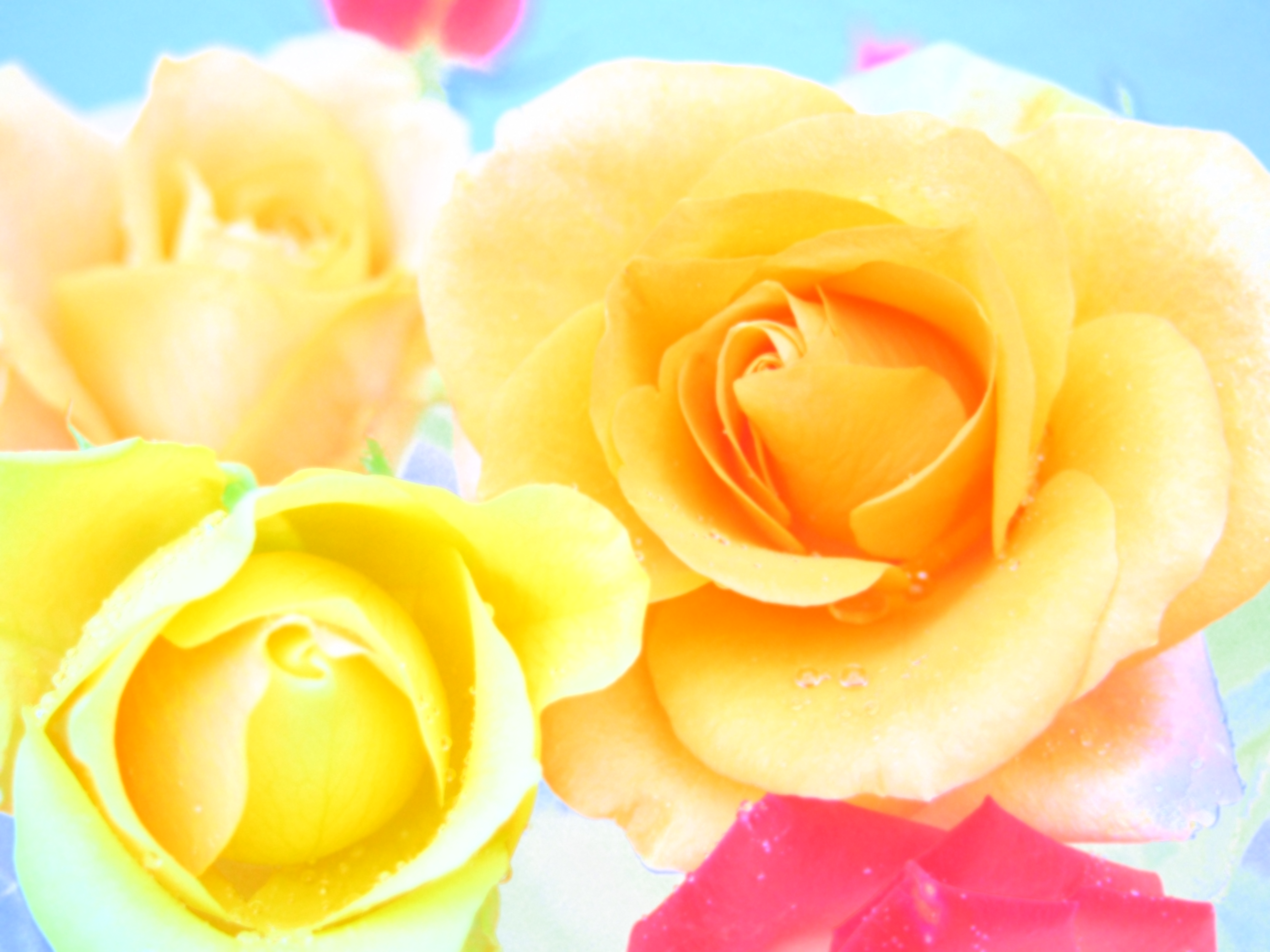 <b>ウォーターカラー2</b>