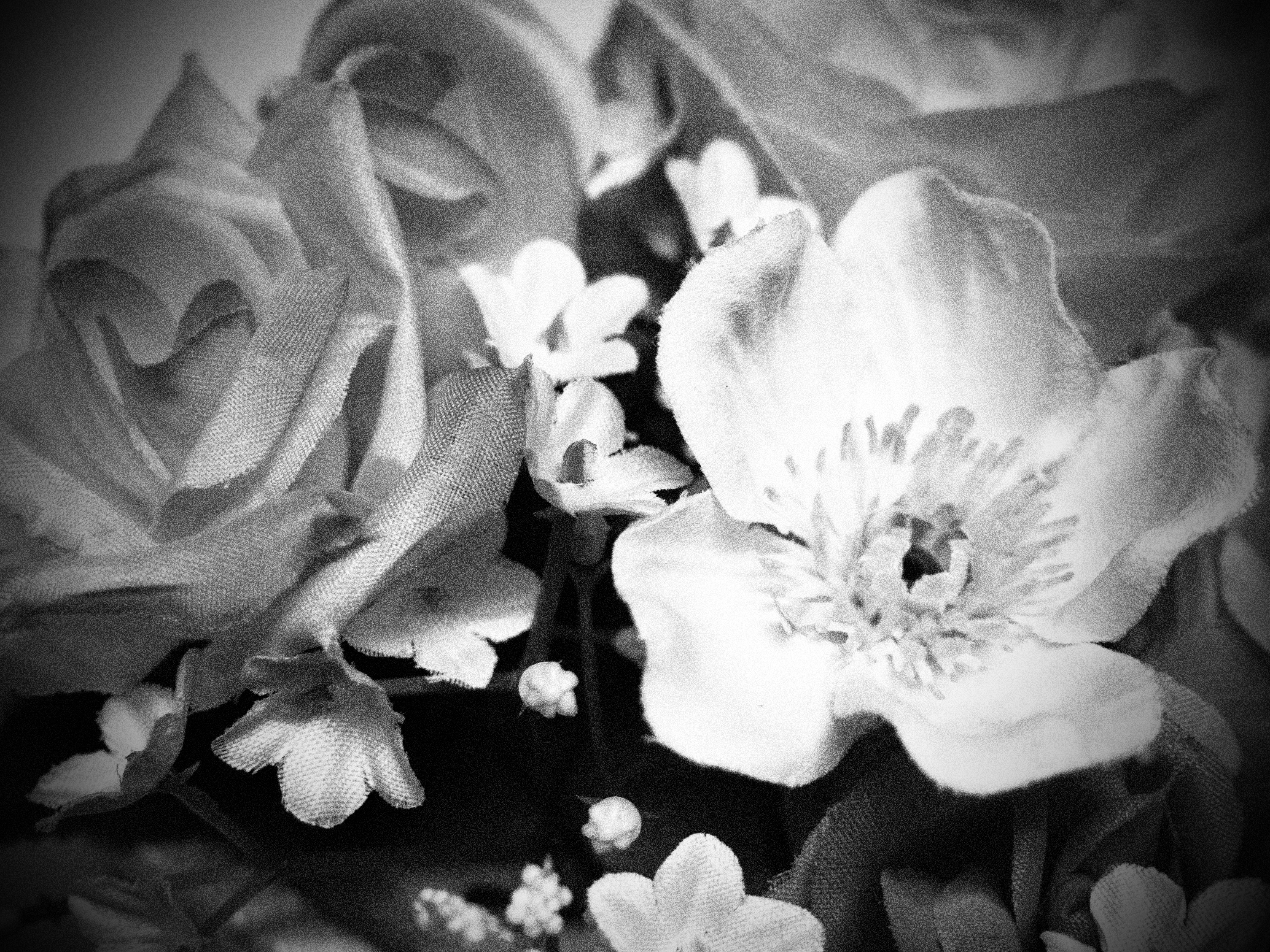 <b>ラフモノクローム2+ピンホール効果</b>