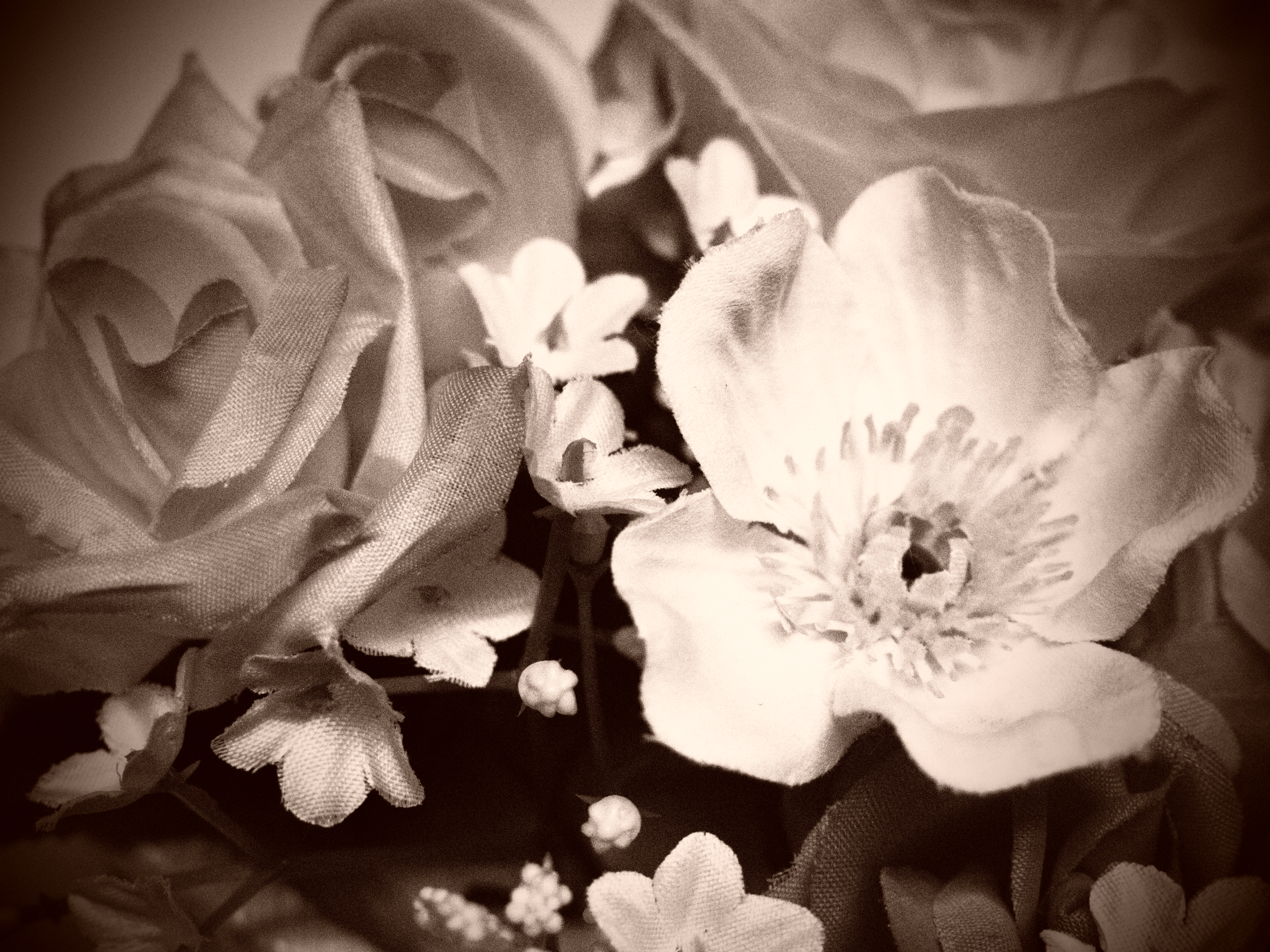 <b>ラフモノクローム2+ピンホール効果+調色効果 セピア</b>