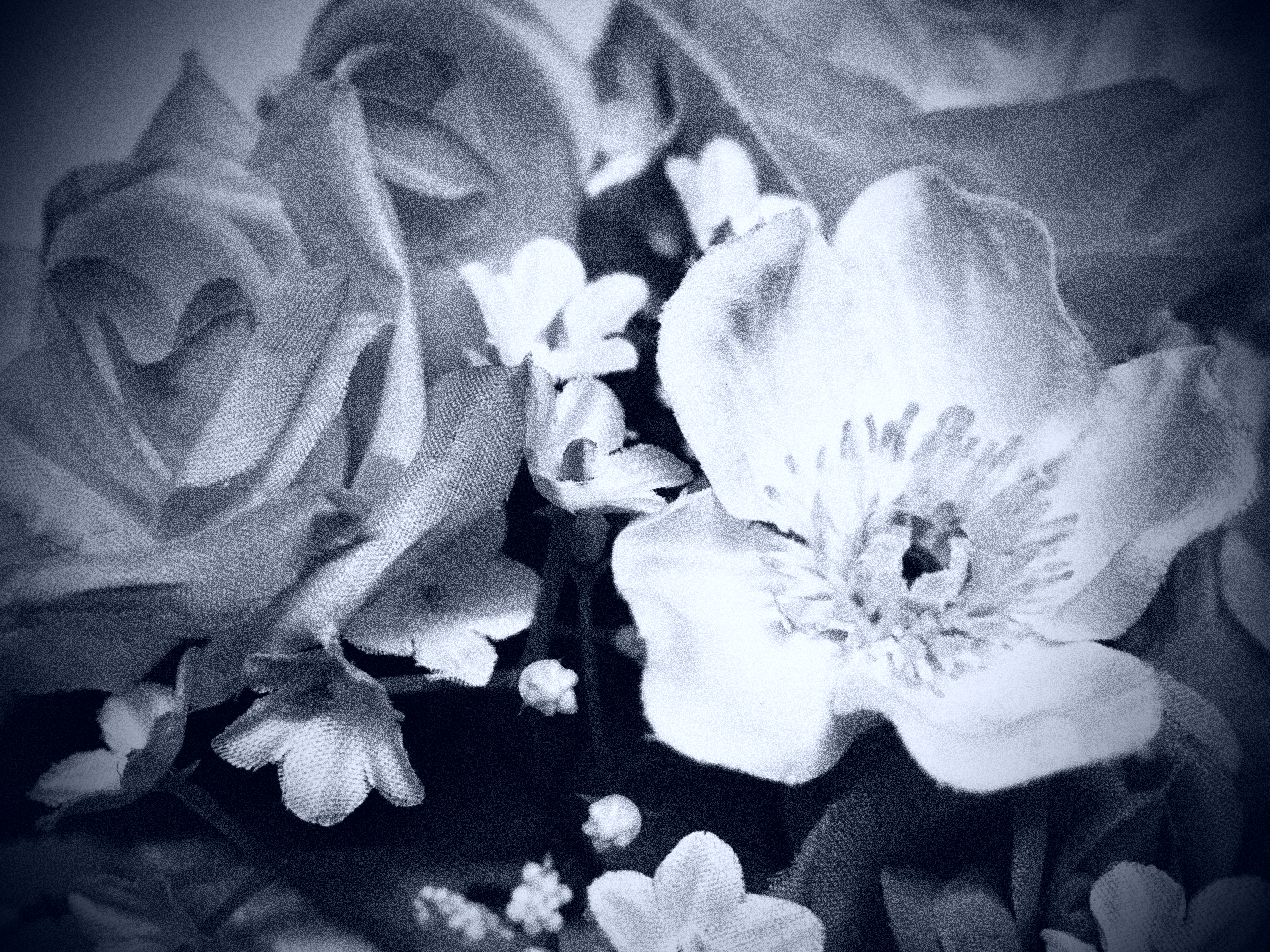 <b>ラフモノクローム2+ピンホール効果+調色効果 青</b>