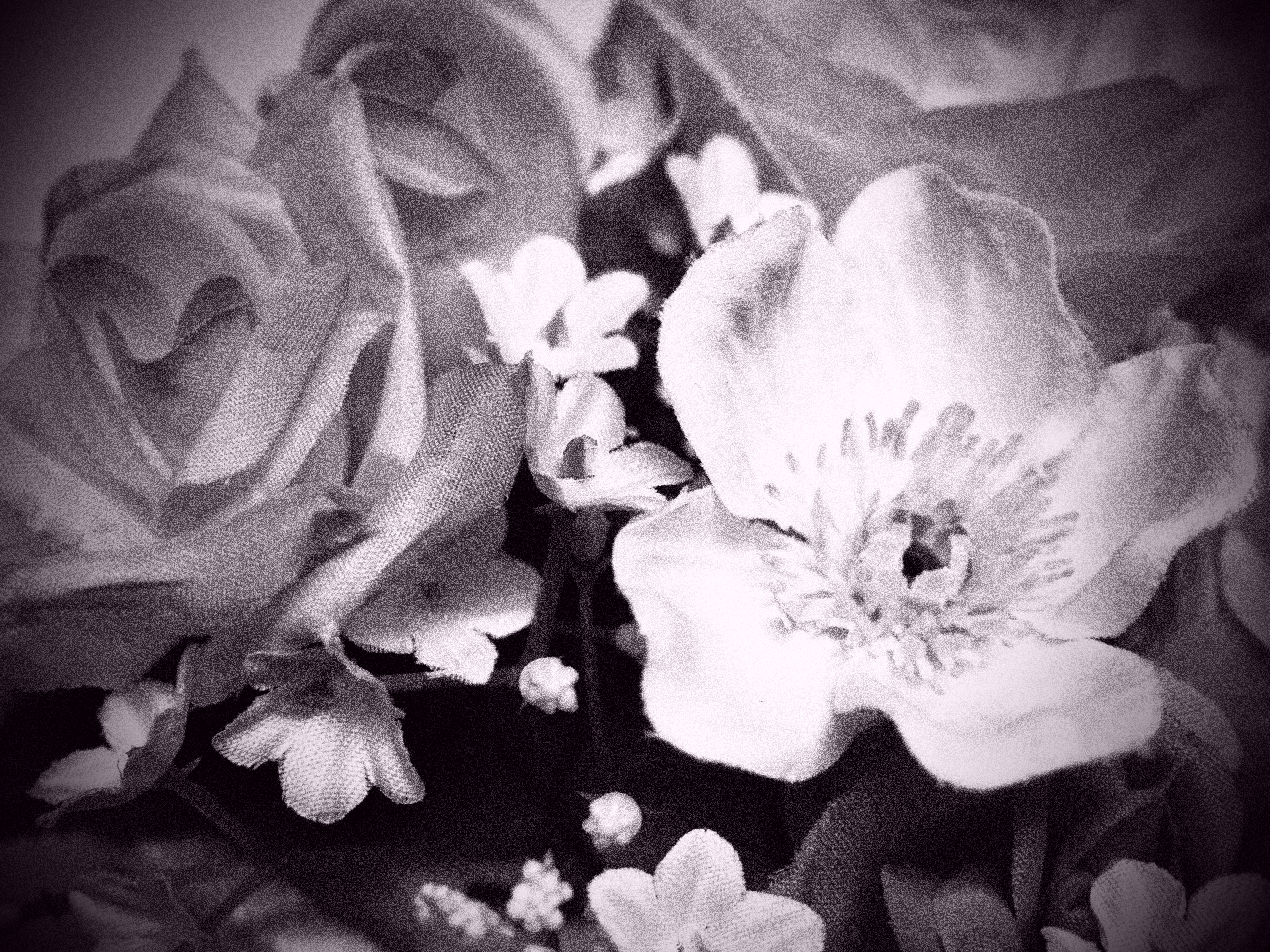 <b>ラフモノクローム2+ピンホール効果+調色効果 紫</b>