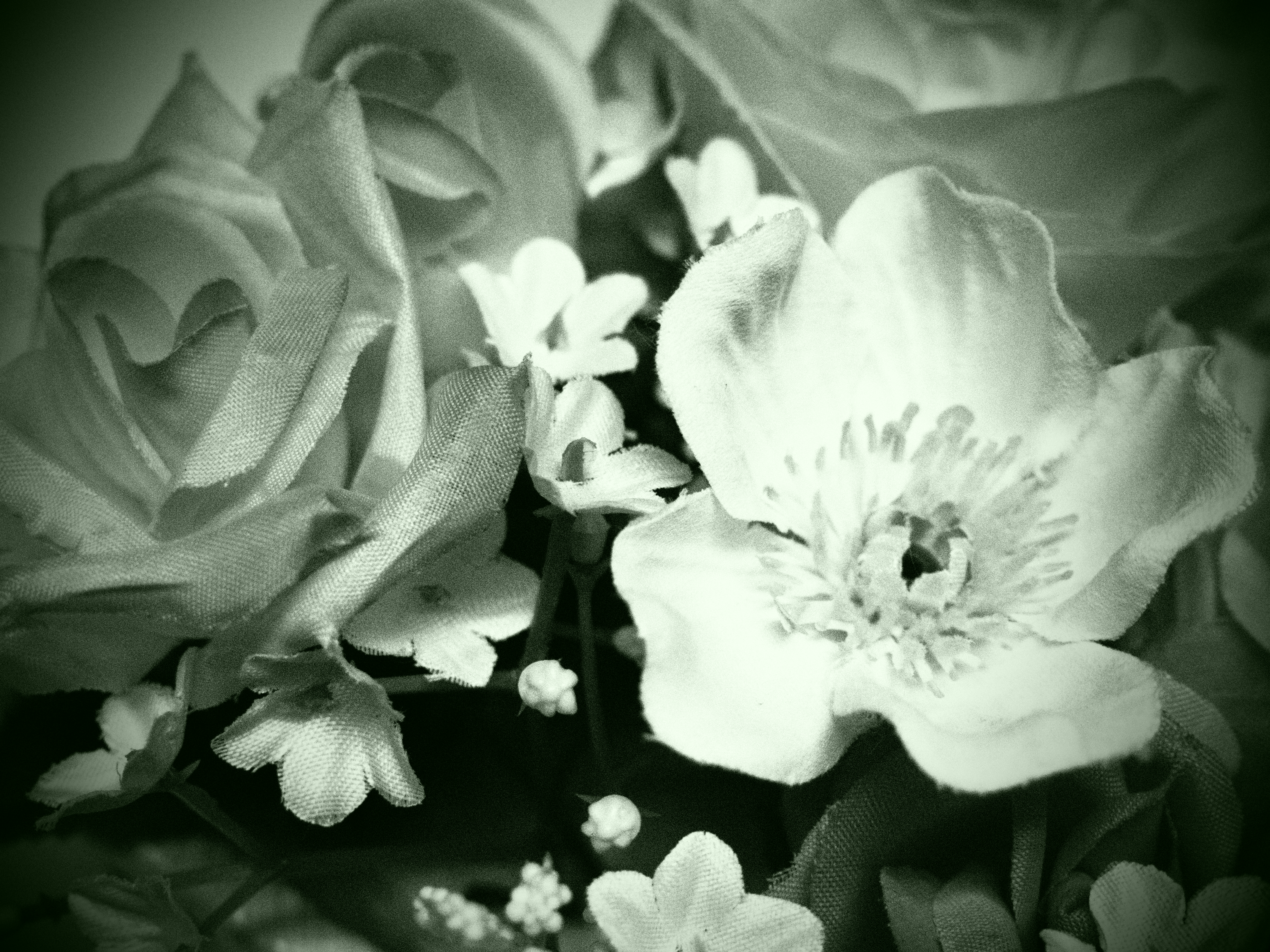 <b>ラフモノクローム2+ピンホール効果+調色効果 緑</b>