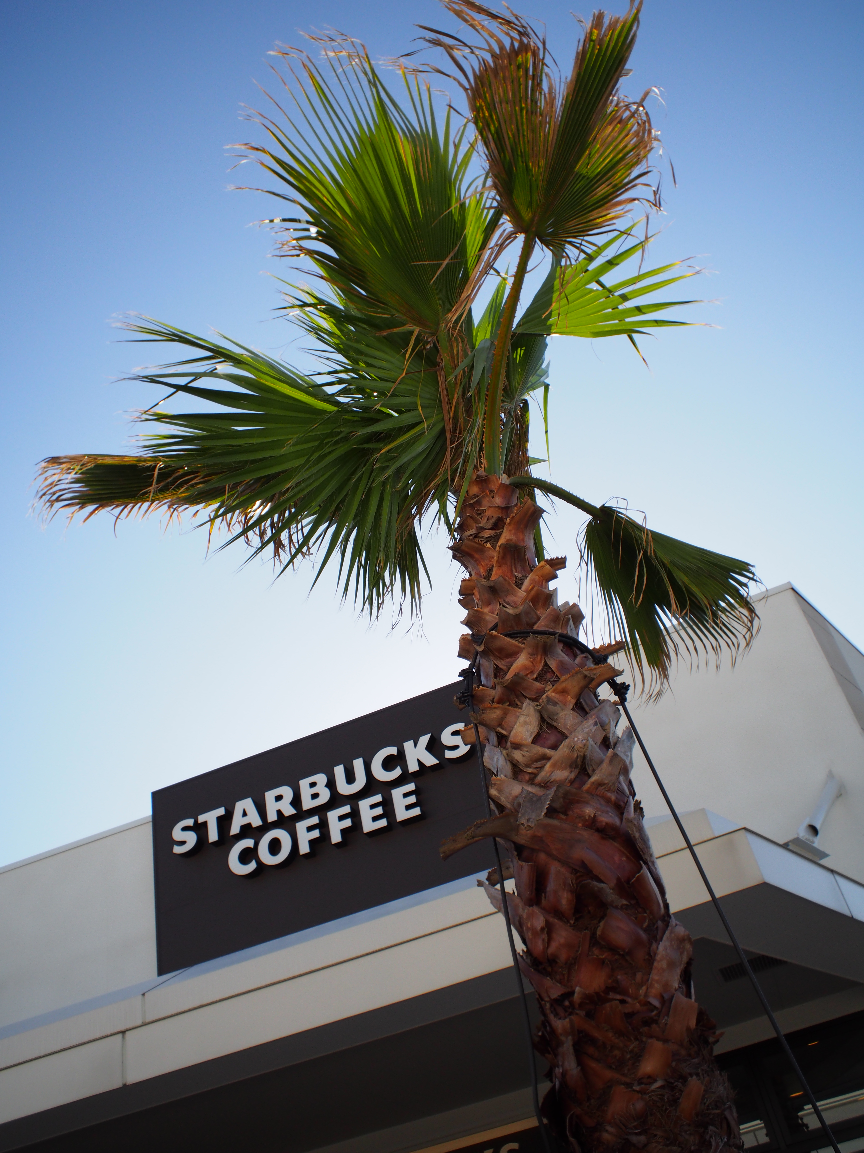 <b>E-PM2 / BCL-1580 / 約8.3MB / 3,456×4,608 / 1/640秒 / F8 / +0.3EV / ISO400 / 絞り優先AE / WB：オート / 15mm</b>