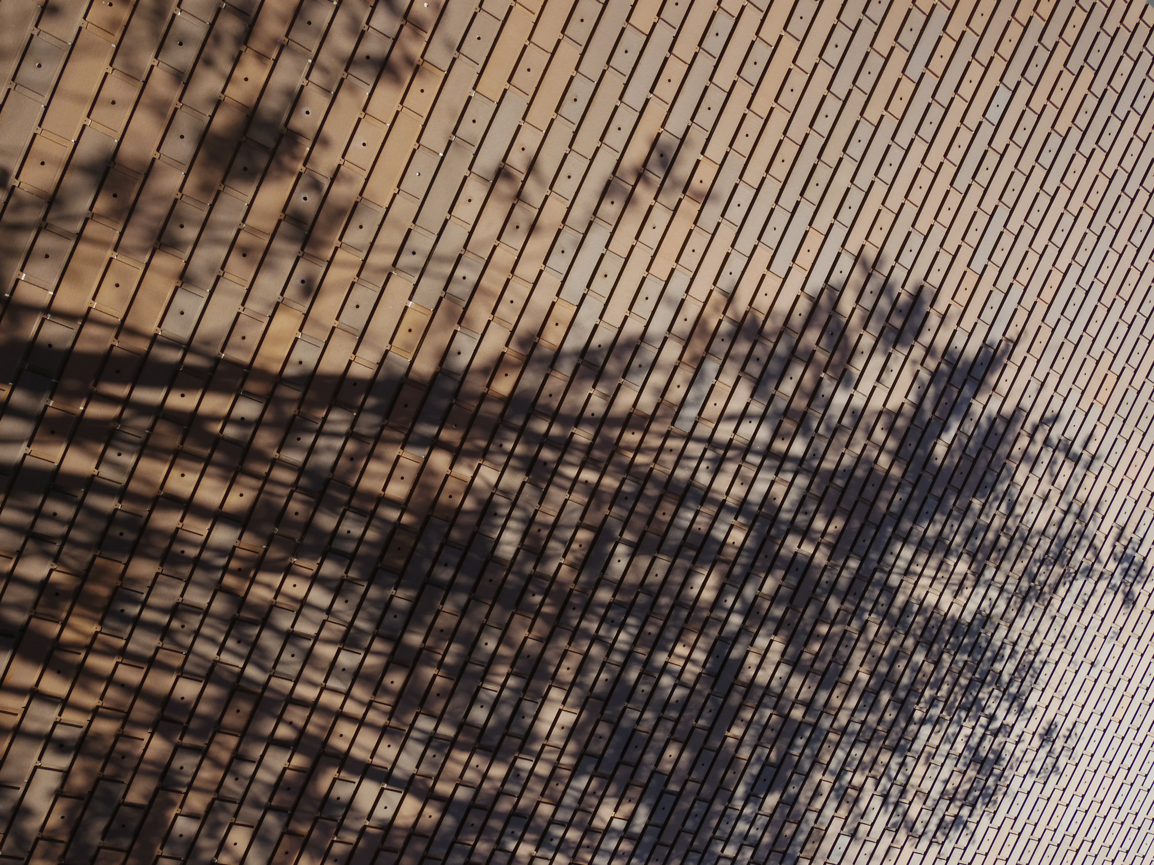 <b>PENTAX Q10 / 02 STANDARD ZOOM（SMC PENTAX 5-15mm F2.8-4.5 ED AL [IF]） / 4,000×3,000 / 1/250秒 / F5.6 / -0.7EV / ISO100 / WB:オート / 5mm</b>