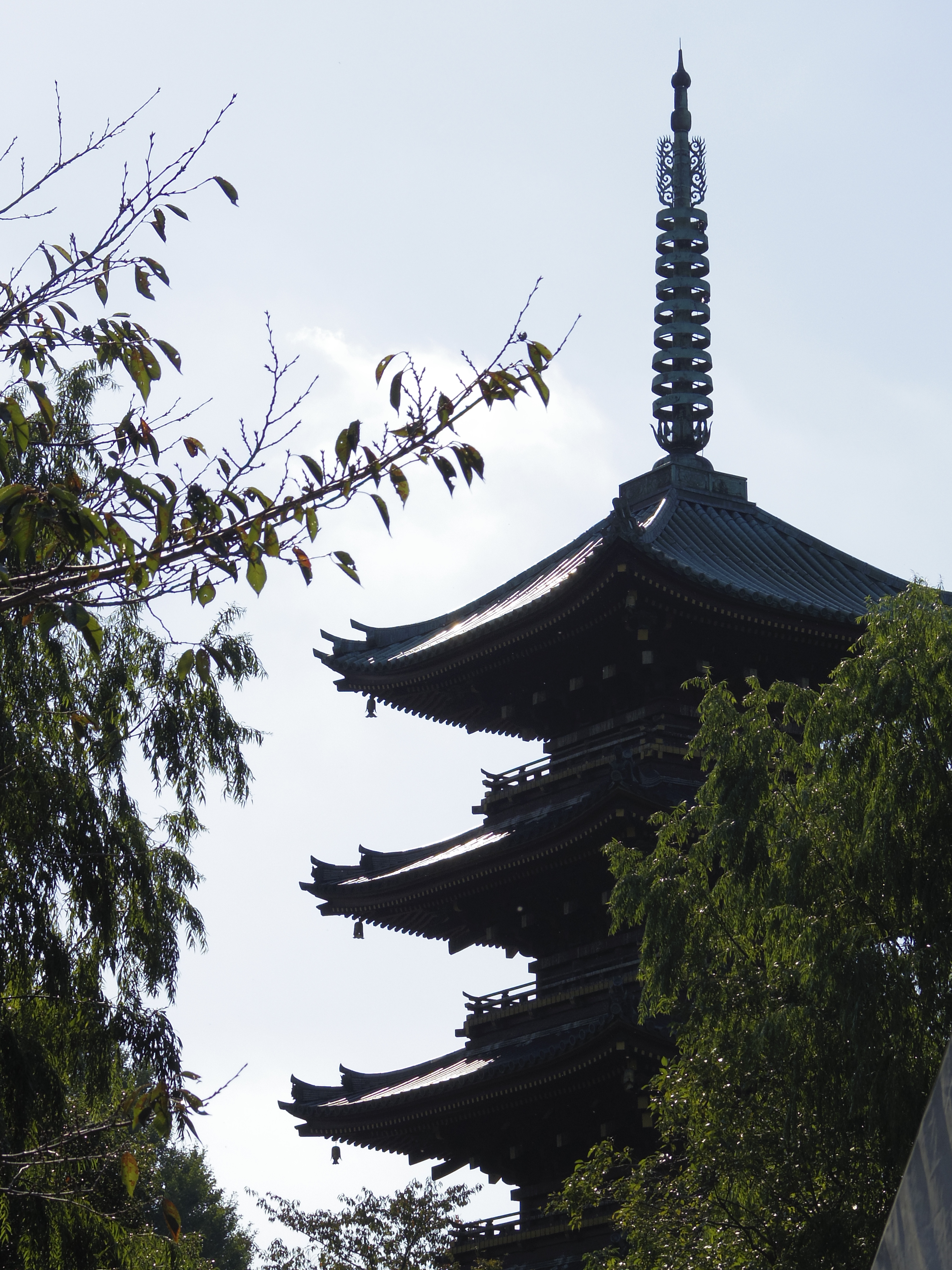 <b>PENTAX Q10 / 06 TELEPHOTO ZOOM（SMC PENTAX 15-45mm F2.8 ED [IF]） / 4,000×3,000 / 1/1,000秒 / F5.6 / 0EV / ISO100 / WB:オート / 21.8mm</b>