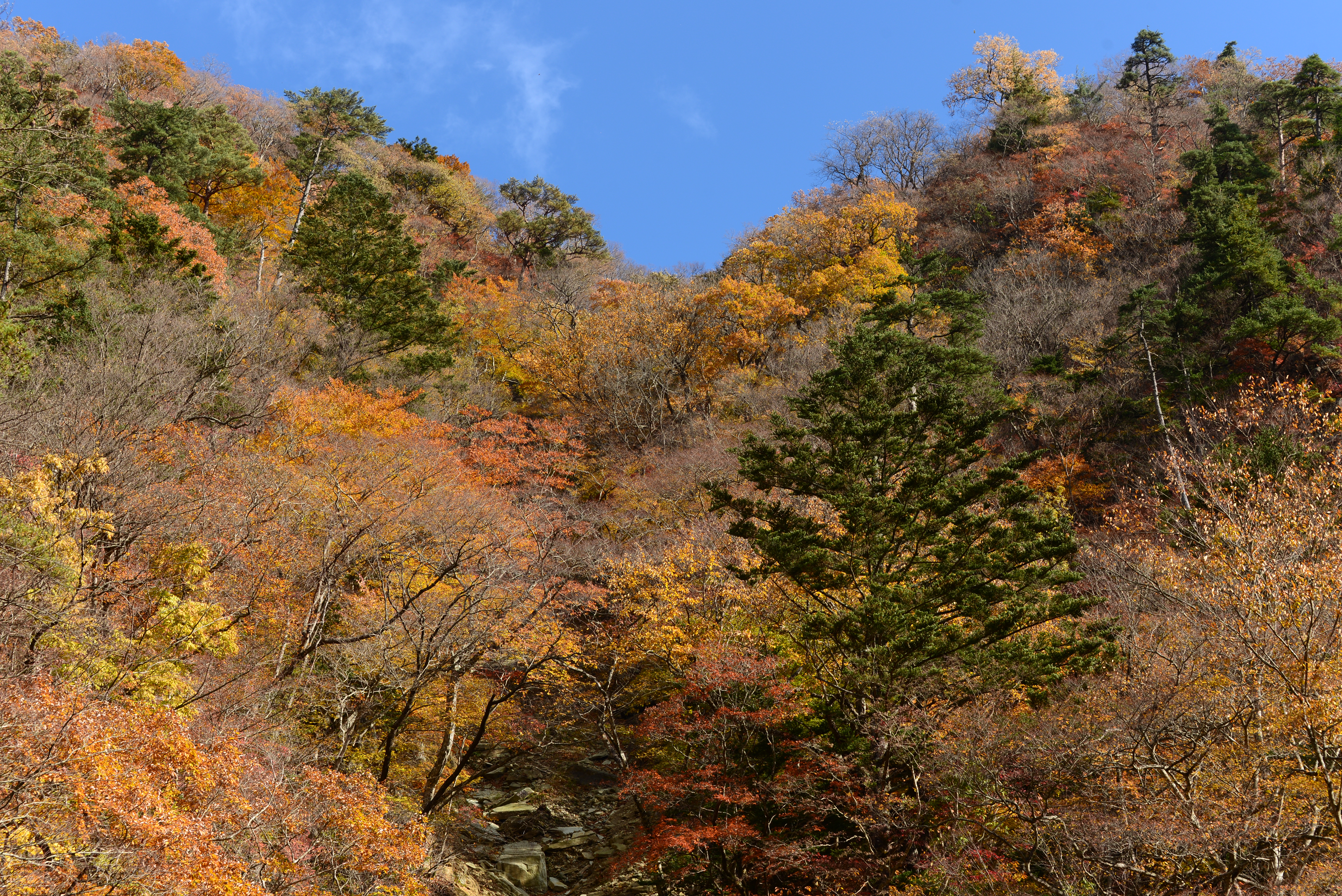 <b>D600 / AF-S NIKKOR 70-200mm F4 G ED VR / 約12.5MB / 6,016×4,016 / 1/125秒 / F8 / -0.3EV / ISO100 / 絞り優先AE / WB：晴天 / 70mm</b>