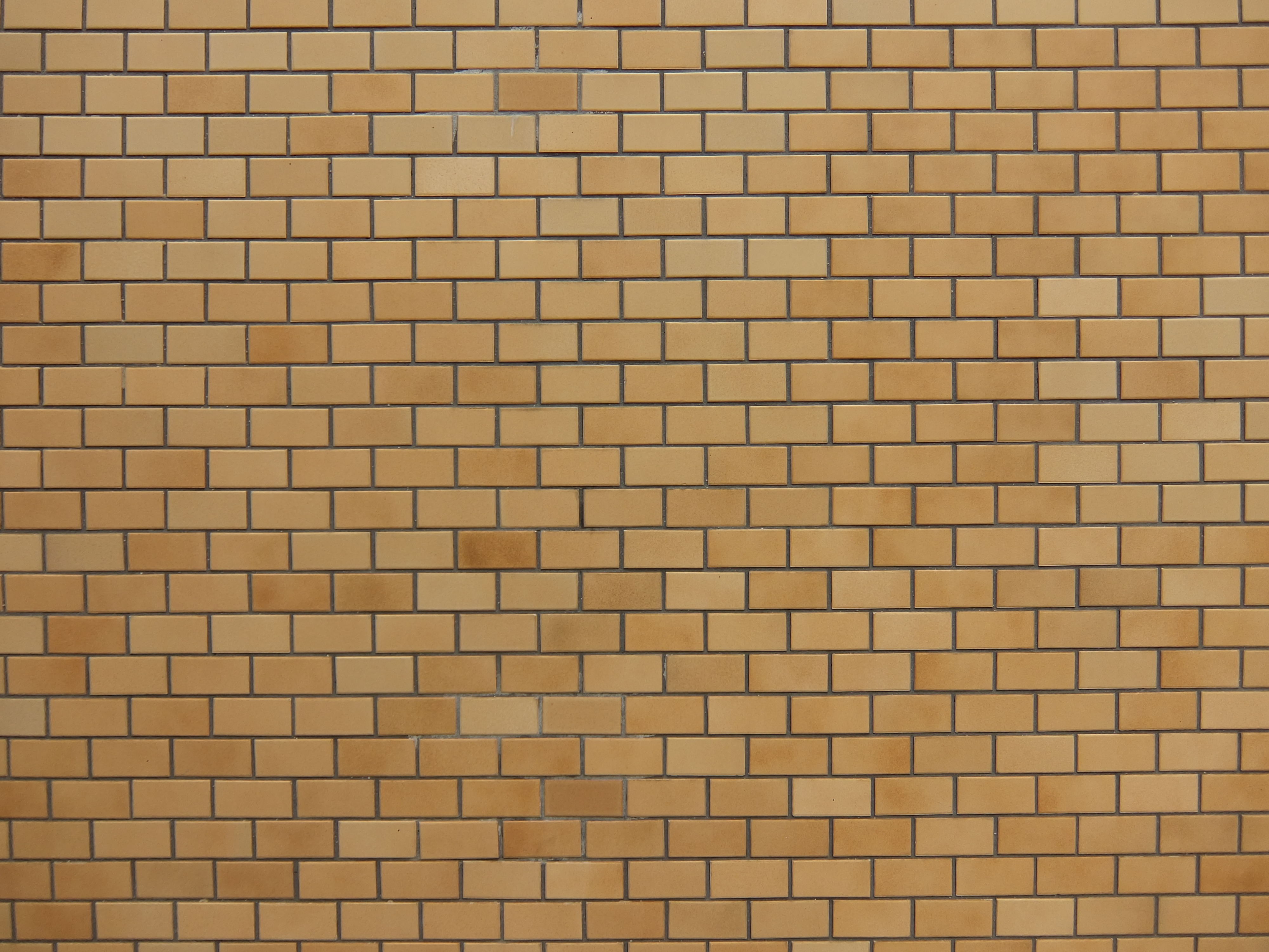 <b>XF1 / 約4.4MB / 4,000×3,000 / 1/500秒 / F2 / +0.3EV / ISO100 / 6.4mm</b>