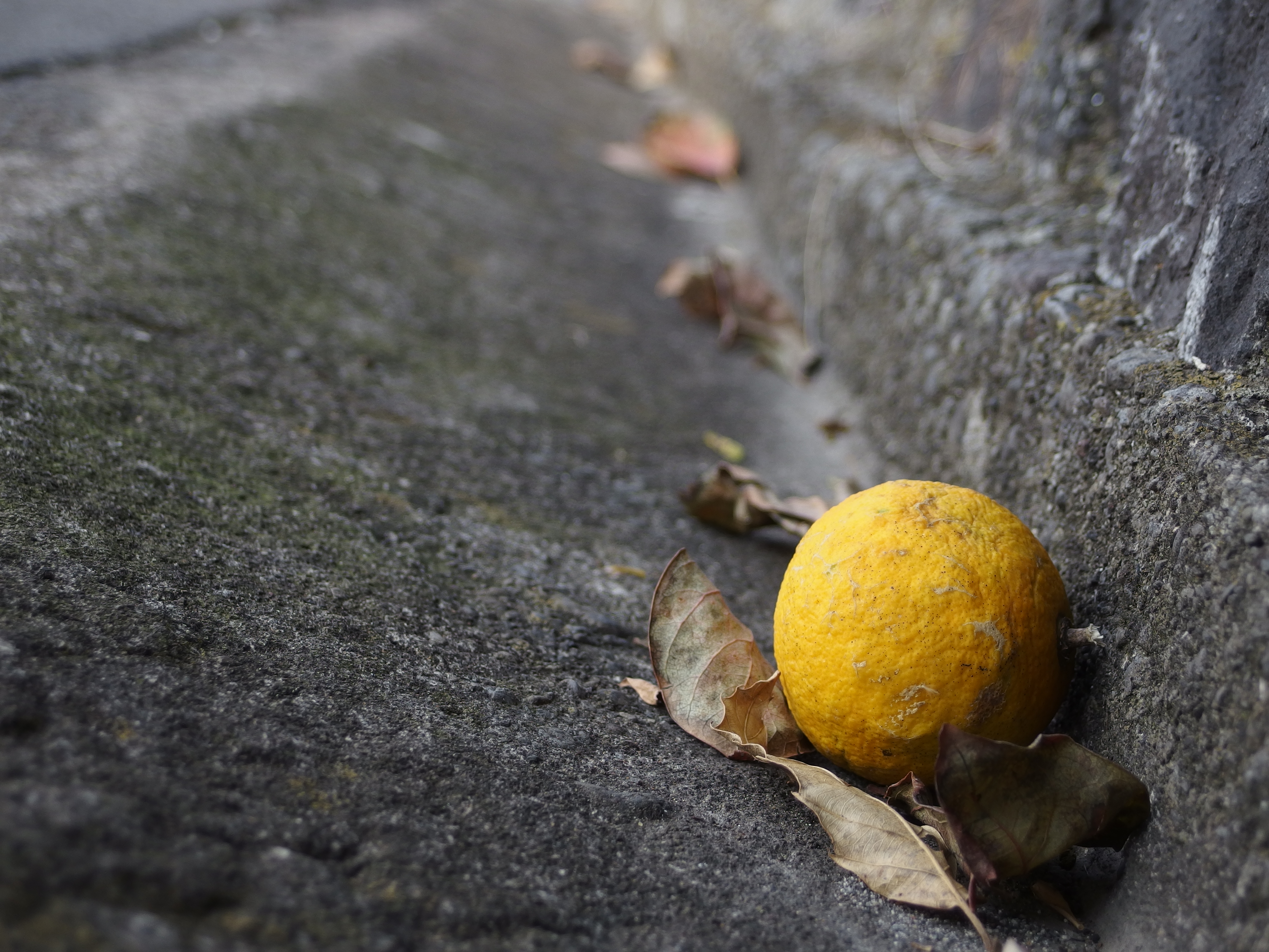 <b>XZ-2 / 3,968×2,976 / 1/400秒 / F2.2 / 0EV / ISO100 / WB:オート / 66mm</b>