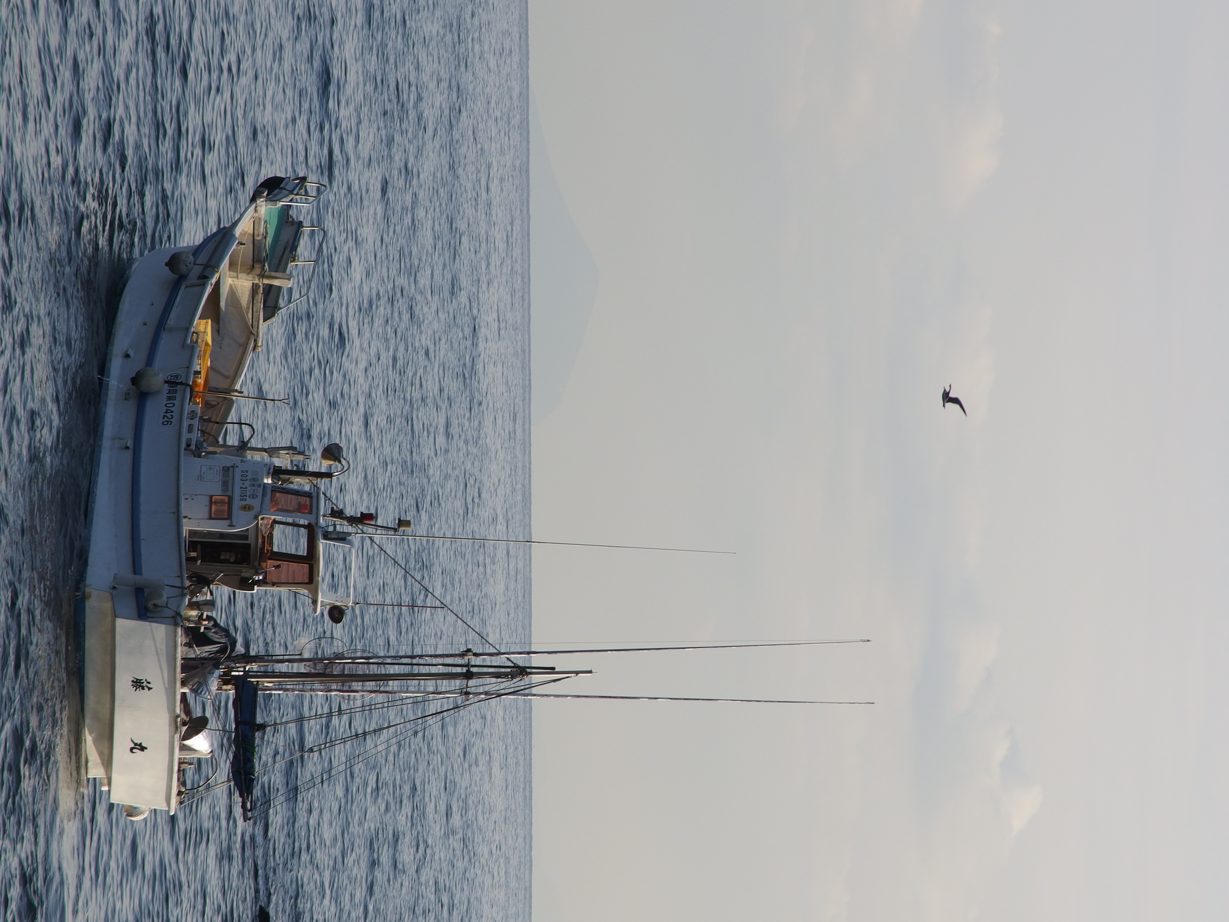 <b>XZ-2 / TCON-17X / 3,968×2,976 / 1/500秒 / F5.6 / 0EV / ISO100 / WB:オート / 190mm</b>