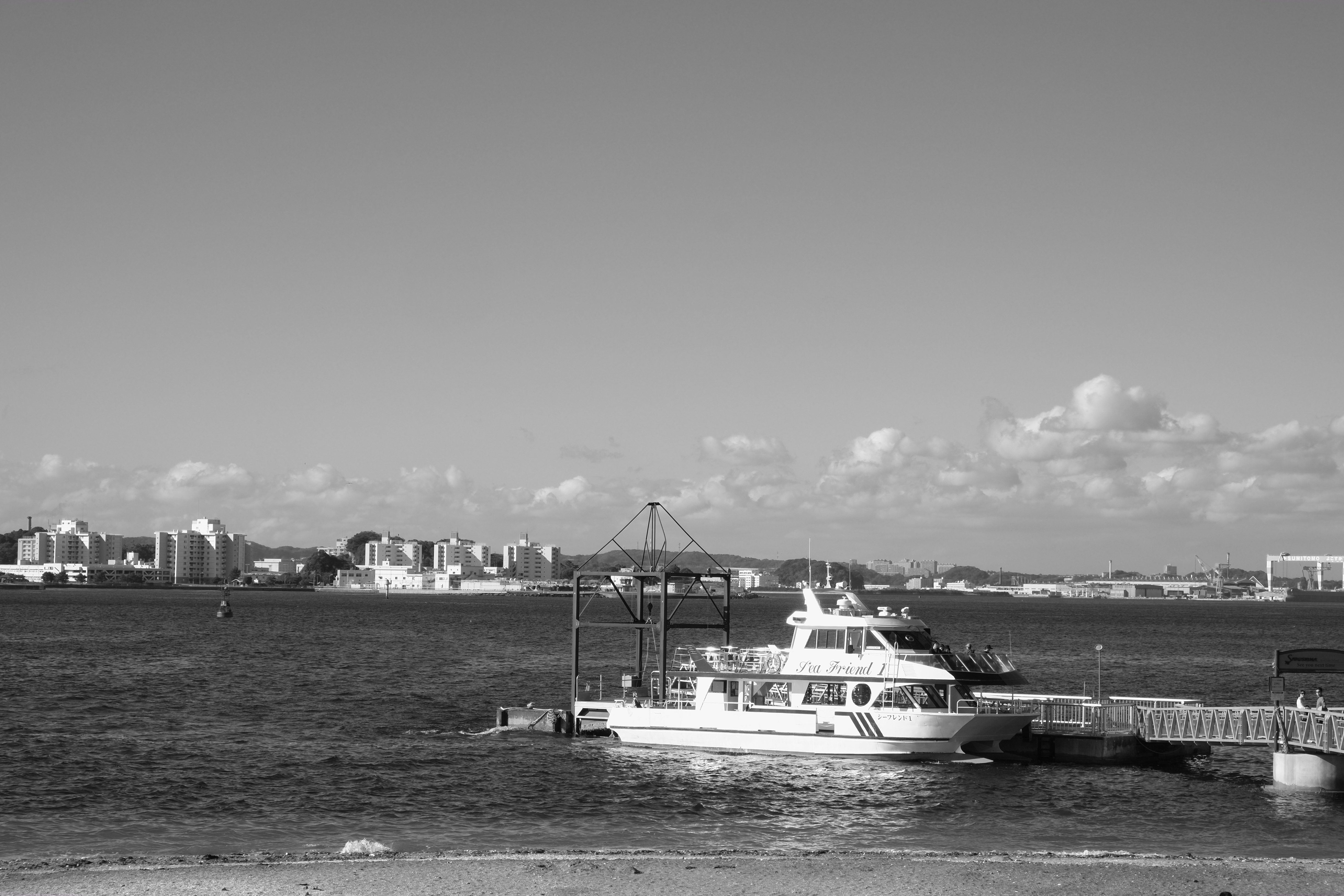 <b>モノクロ+Rフィルター</b>