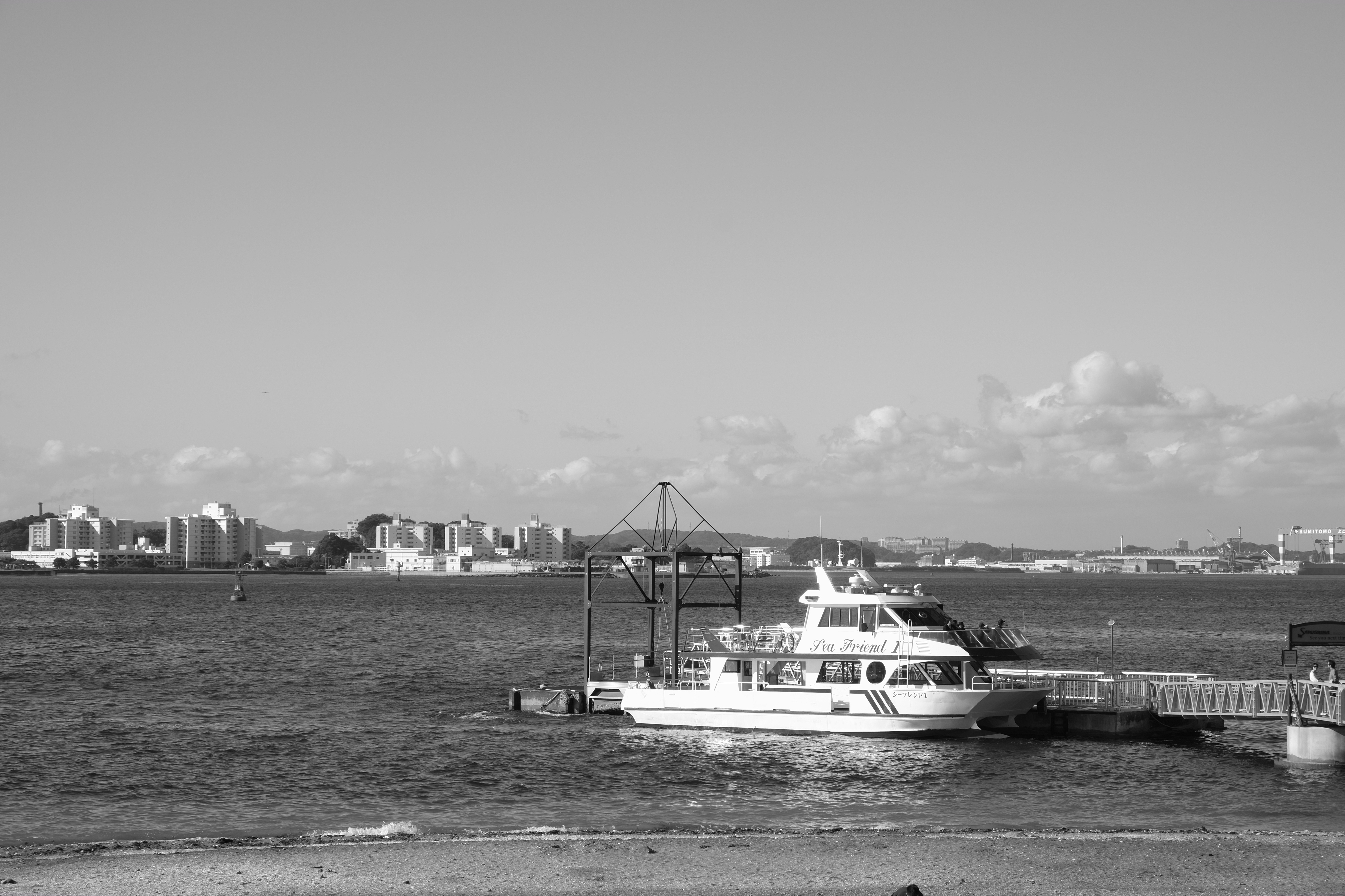 <b>モノクロ+Gフィルター</b>