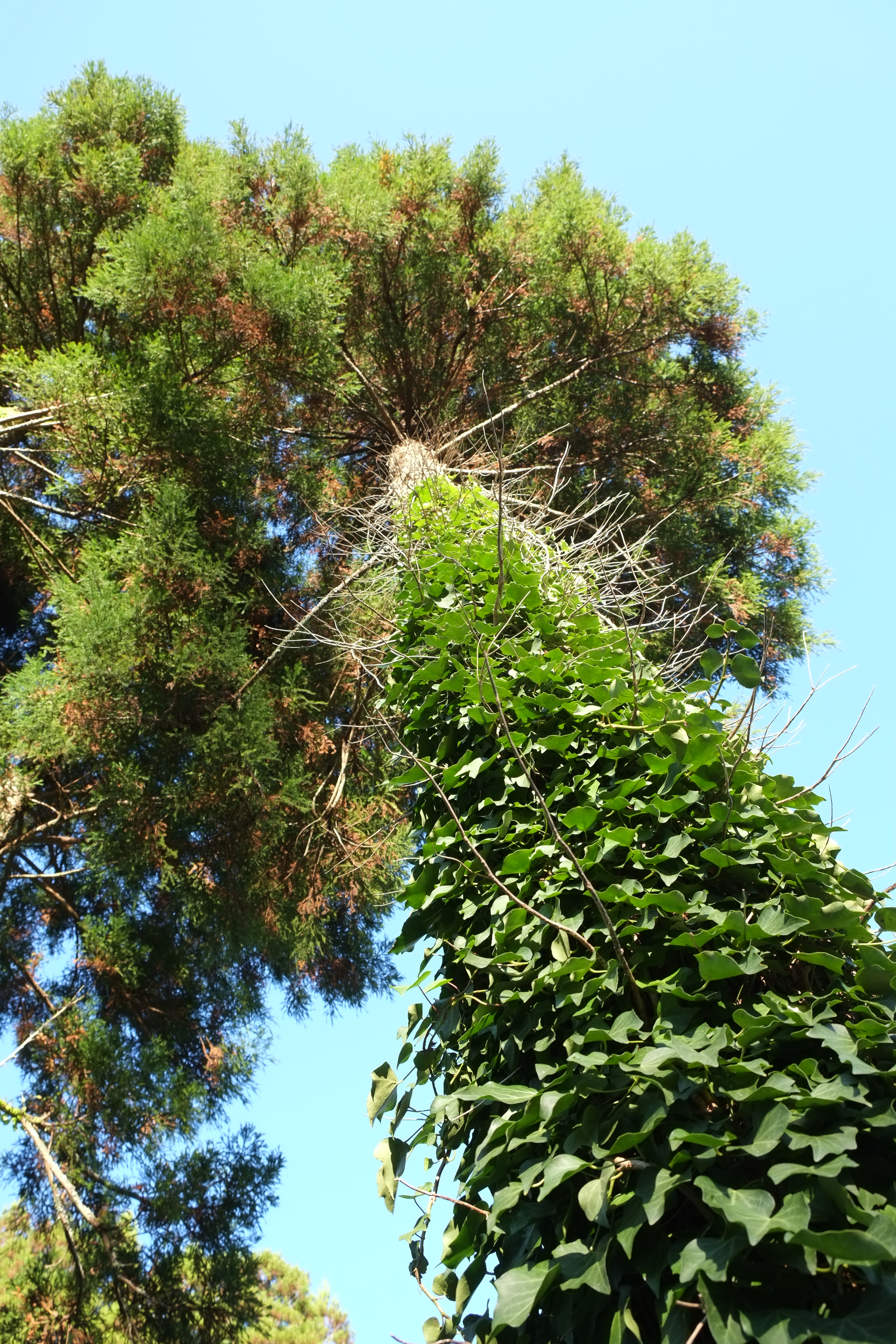 <b>X-E1 / XF 18-55m-m F2.8-4 R LM OIS / 約6.4MB / 4,896×3,264 / 1/58秒 / F5.6 / 0EV / ISO200 / 絞り優先AE / WB：オート / 18mm / フィルムシミュレーション：PROVIA</b>