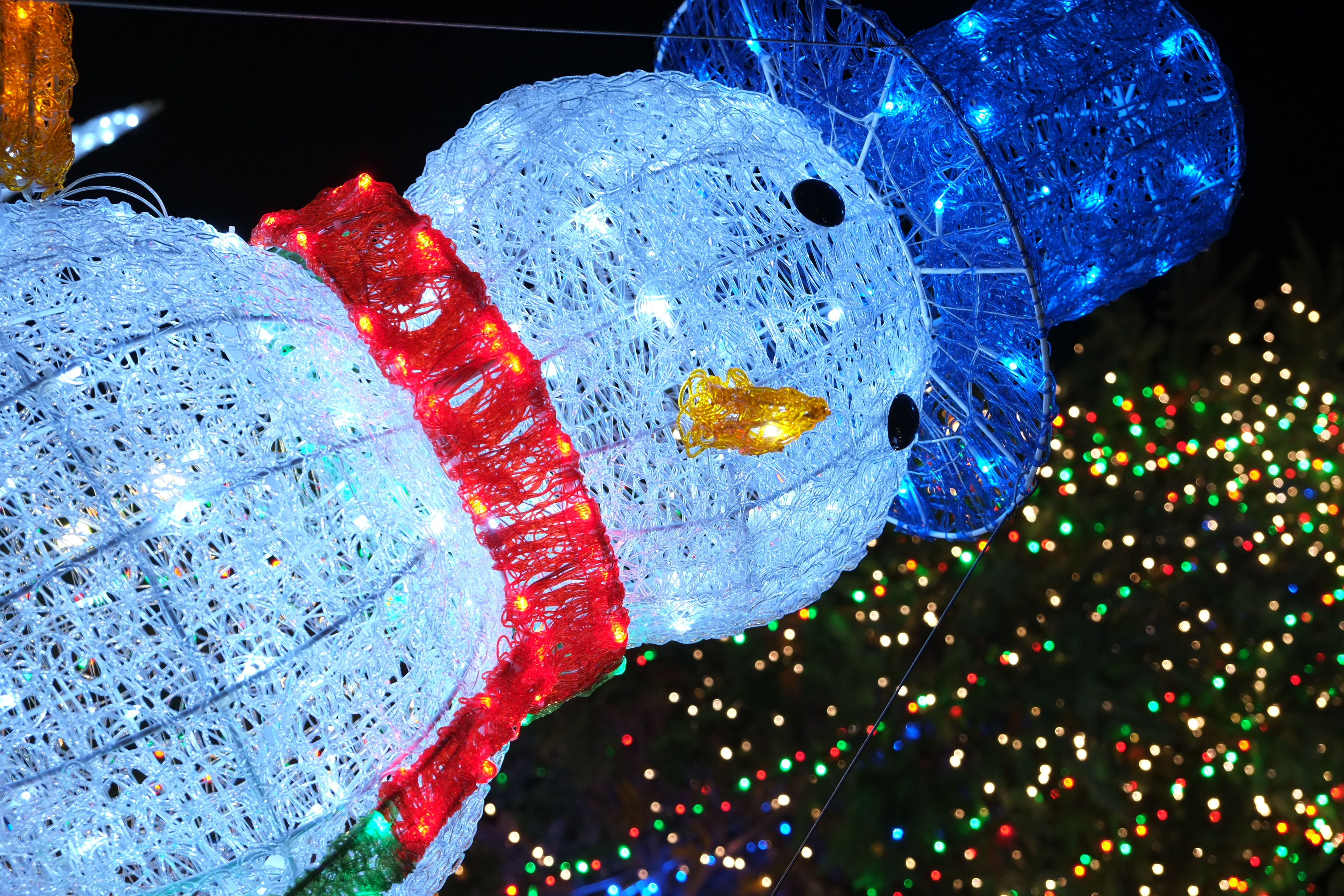 <b>X-E1 / XF 18-55m-m F2.8-4 R LM OIS / 約6.7MB / 3,264×4,896 / 1/34秒 / F5 / +1.3EV / ISO800 / 絞り優先AE / WB：晴れ / 40.7mm / フィルムシミュレーション：PROVIA</b>