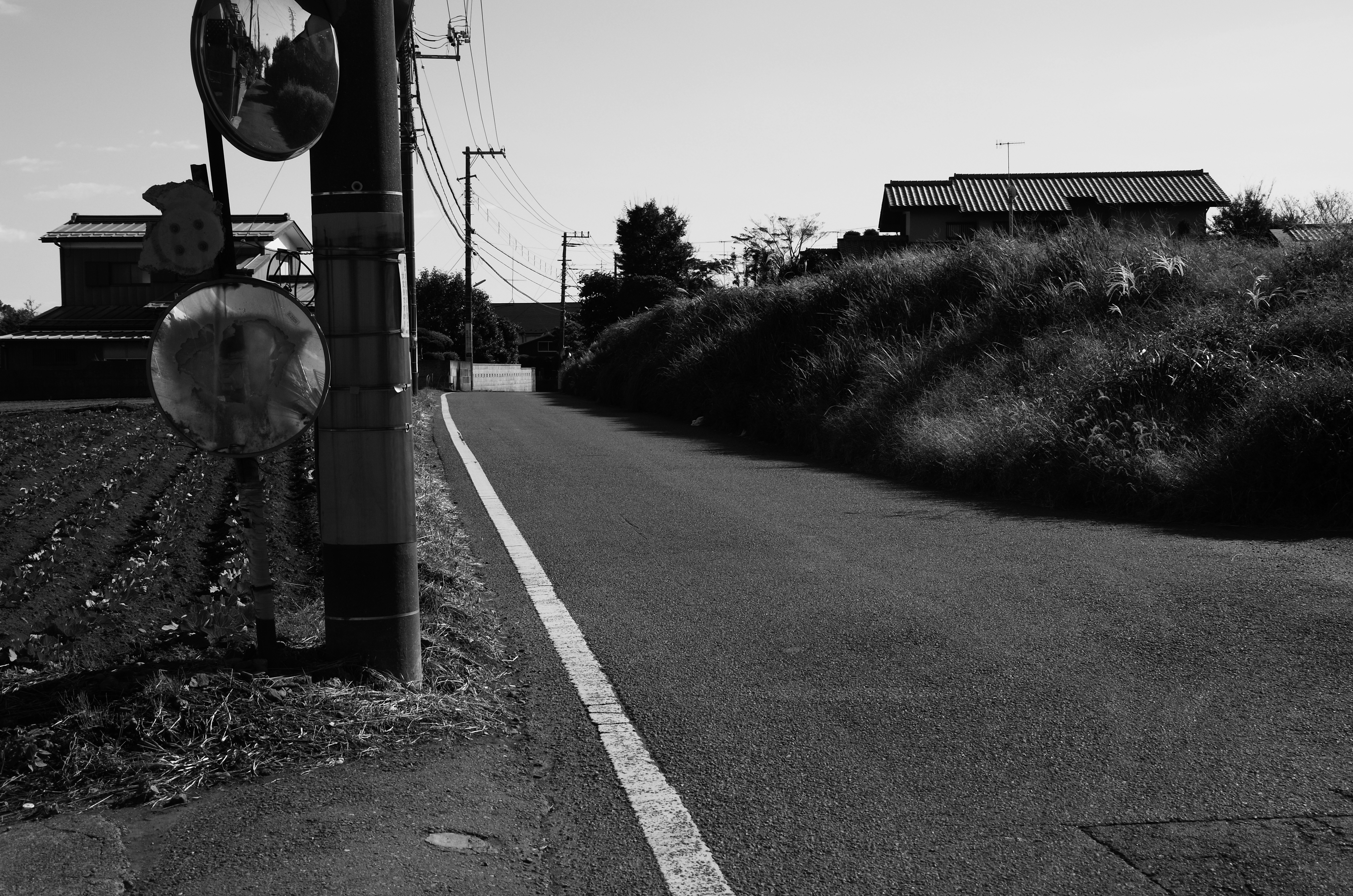 <b>GXR / A16 24-85mm F3.5-5.5 / 約5.9MB / 4,928×3,264 / 1/870秒 / F7.6 / 0EV / ISO200 / 絞り優先AE / WB：オート / 31.8mm</b>