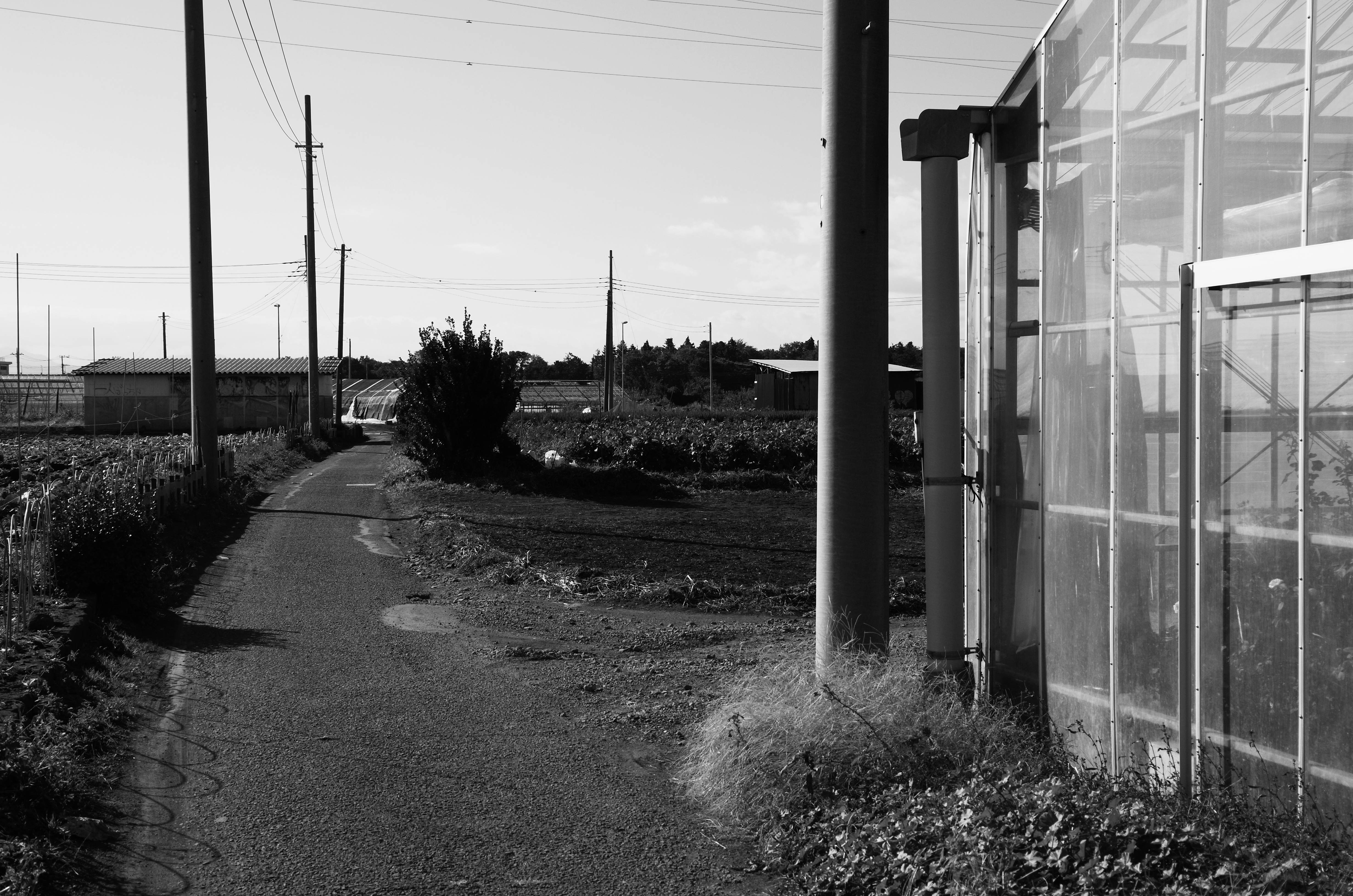 <b>GXR / A16 24-85mm F3.5-5.5 / 約5.6MB / 4,928×3,264 / 1/810秒 / F7.6 / 0EV / ISO200 / 絞り優先AE / WB：オート / 31.8mm</b>