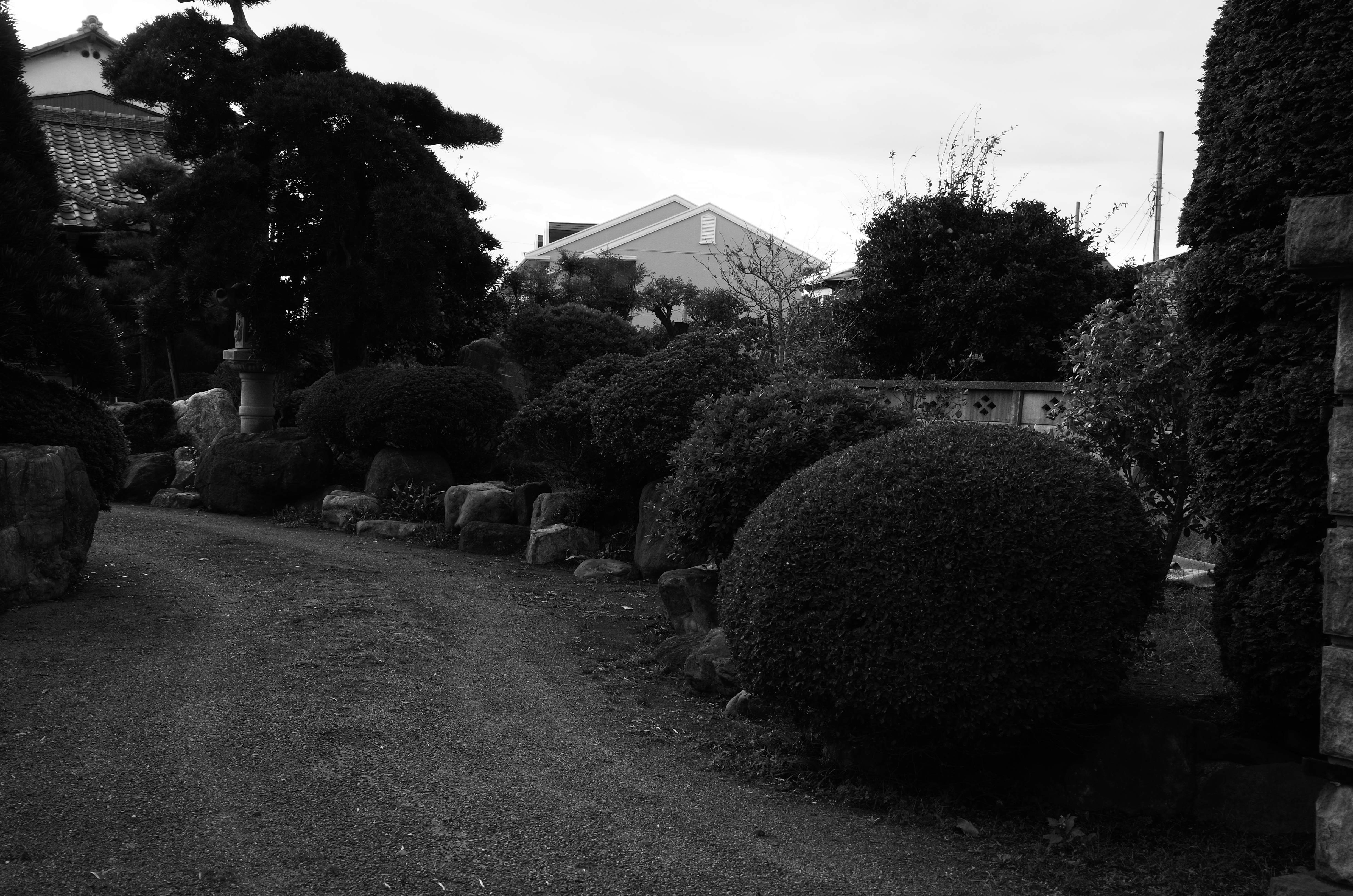 <b>GXR / A16 24-85mm F3.5-5.5 / 約5.9MB / 4,928×3,264 / 1/133秒 / F7.6 / 0EV / ISO200 / 絞り優先AE / WB：オート / 31.8mm</b>