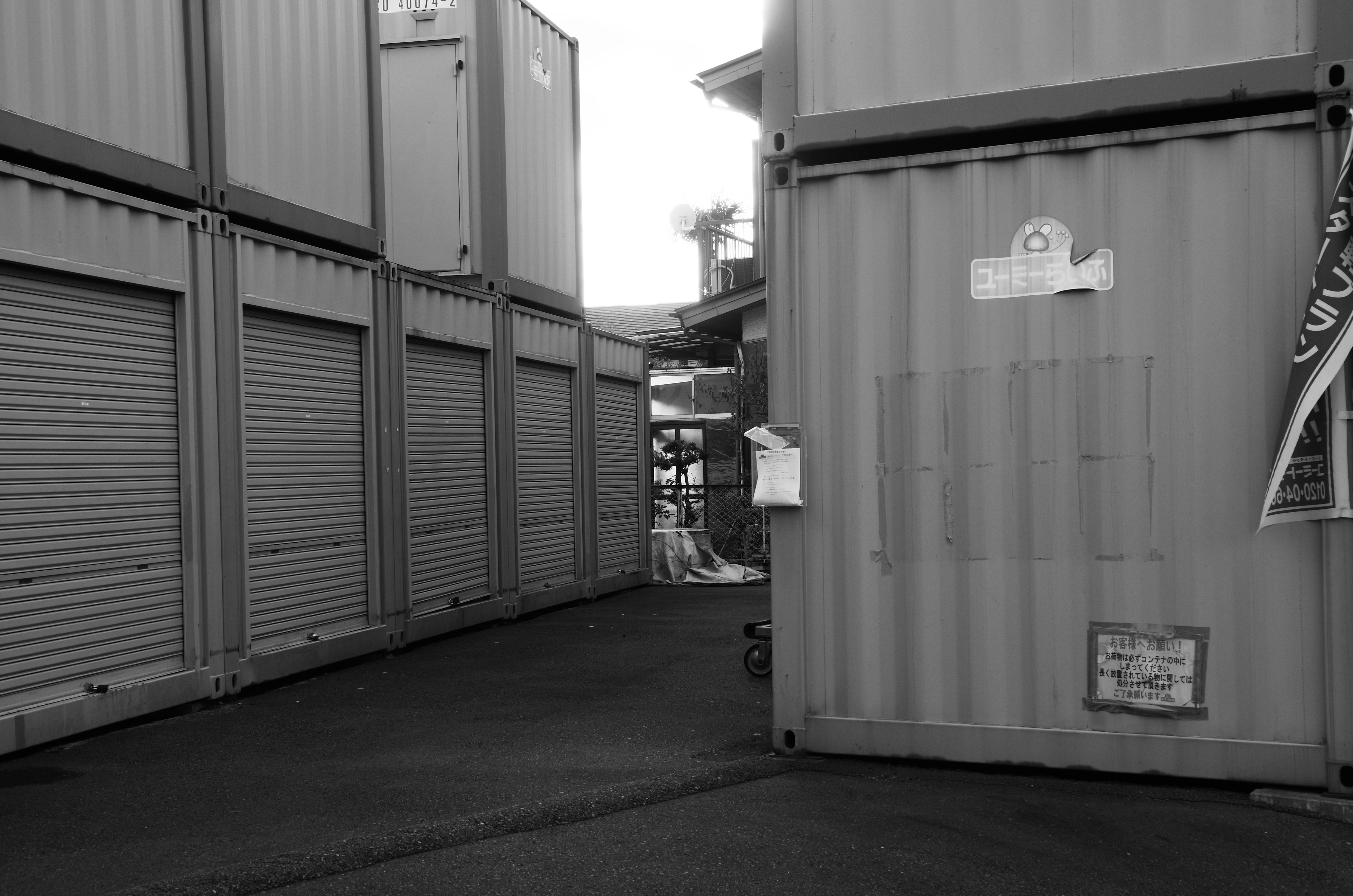 <b>GXR / A16 24-85mm F3.5-5.5 / 約5.5MB / 4,928×3,264 / 1/73秒 / F7.6 / 0EV / ISO200 / 絞り優先AE / WB：オート / 31.8mm</b>