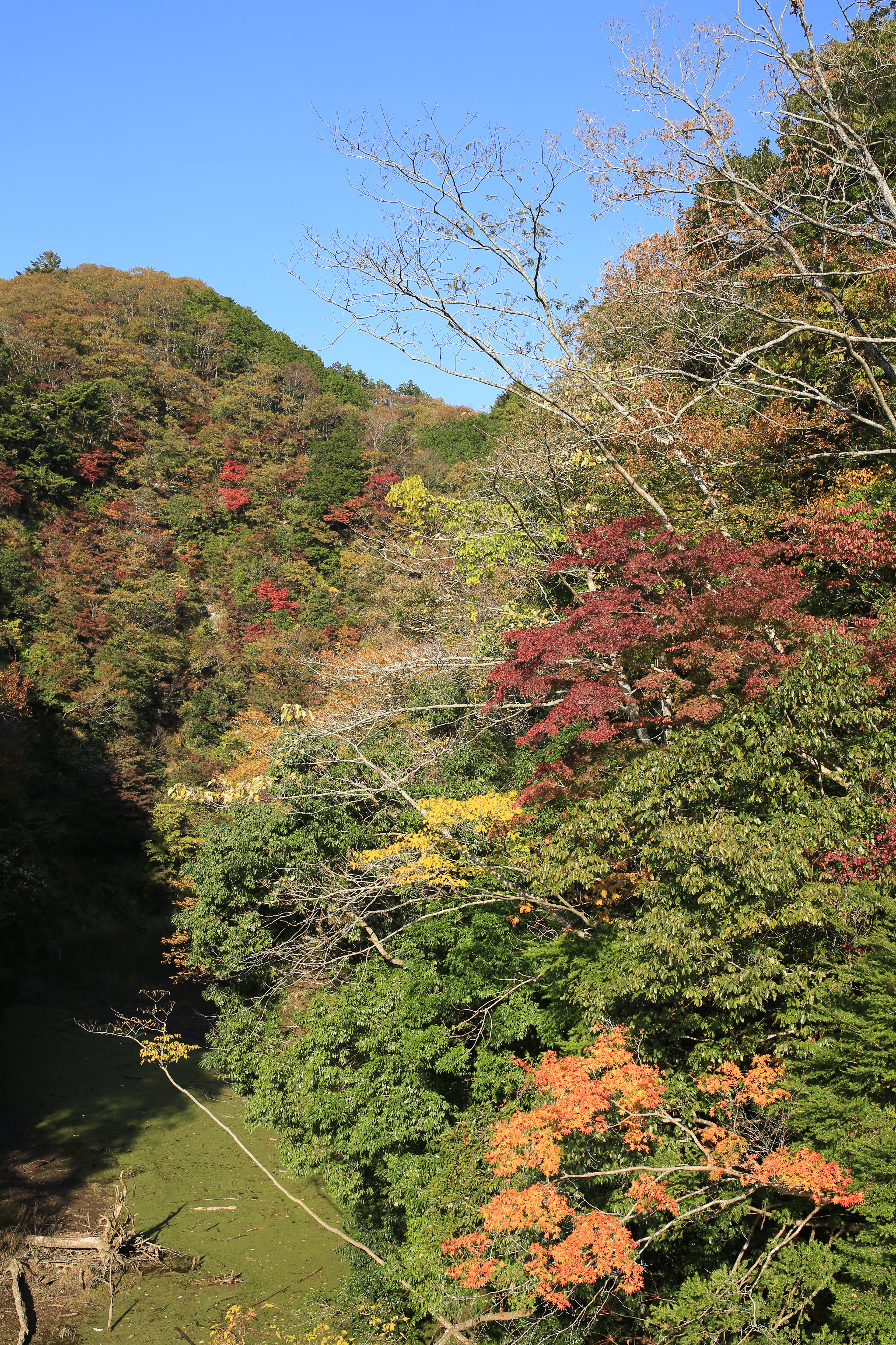 <b>EOS 5D Mark III / 35mm F1.4 DG HSM / 約18MB / 3,840×5,760 / 1/250秒 / F5.6 / 0EV / ISO100 / 絞り優先AE / WB：太陽光 / 35mm</b>