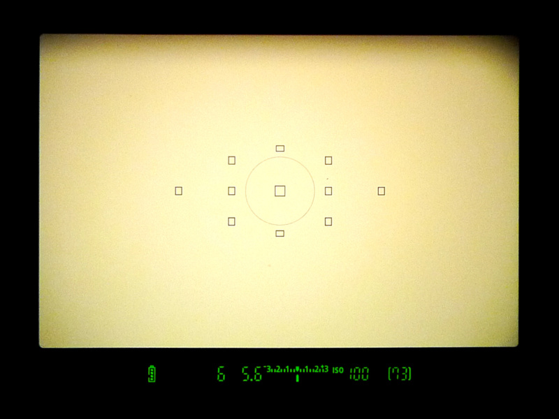 <b>（参考）ファインダー内表示。11点のAFポイント中でクロスセンサーは中央のみだが、その代わりか中央測距点は徹底的に強化され、低輝度限界EV-3と暗所に強い。</b>