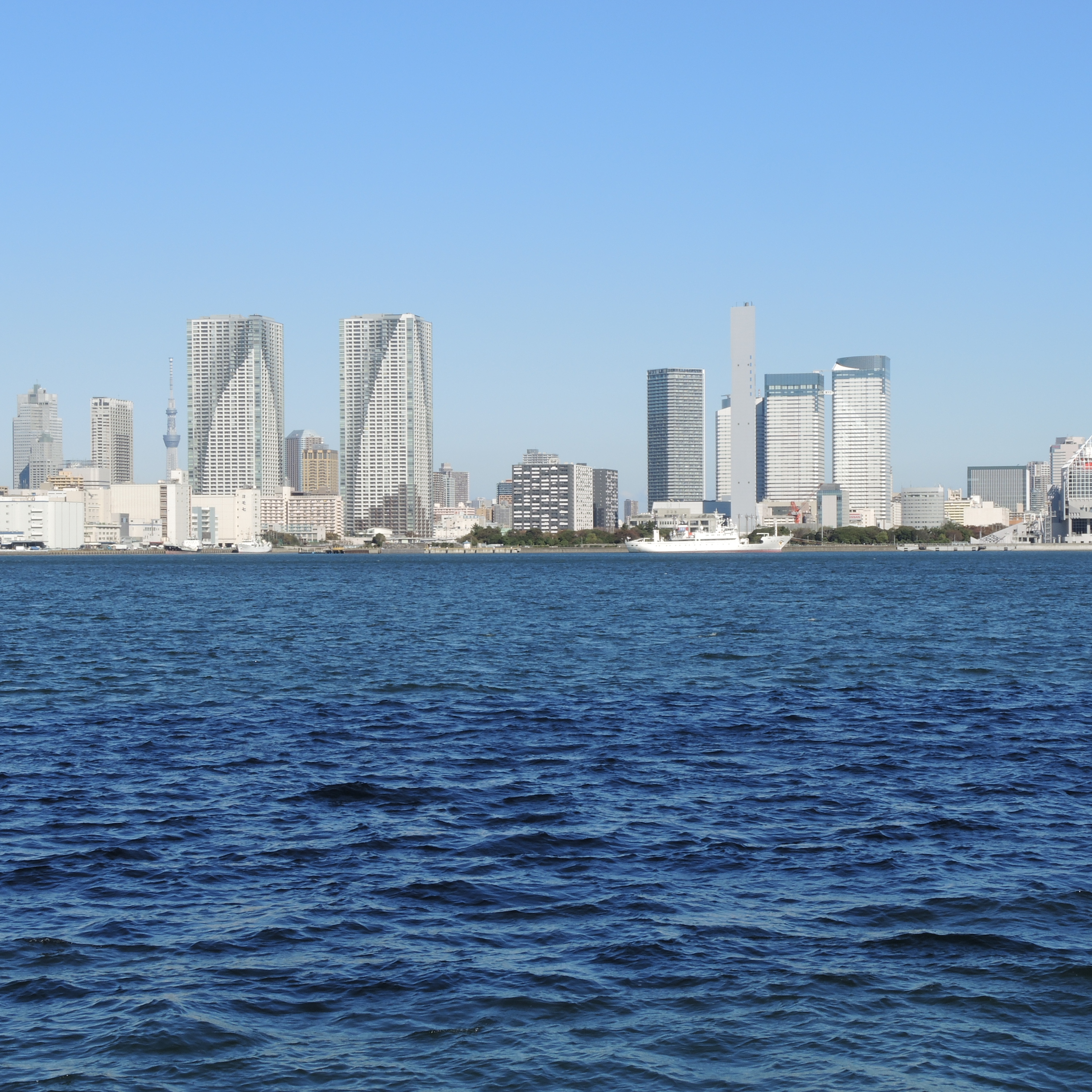 <b>1：1 / 3,000×3,000</b>