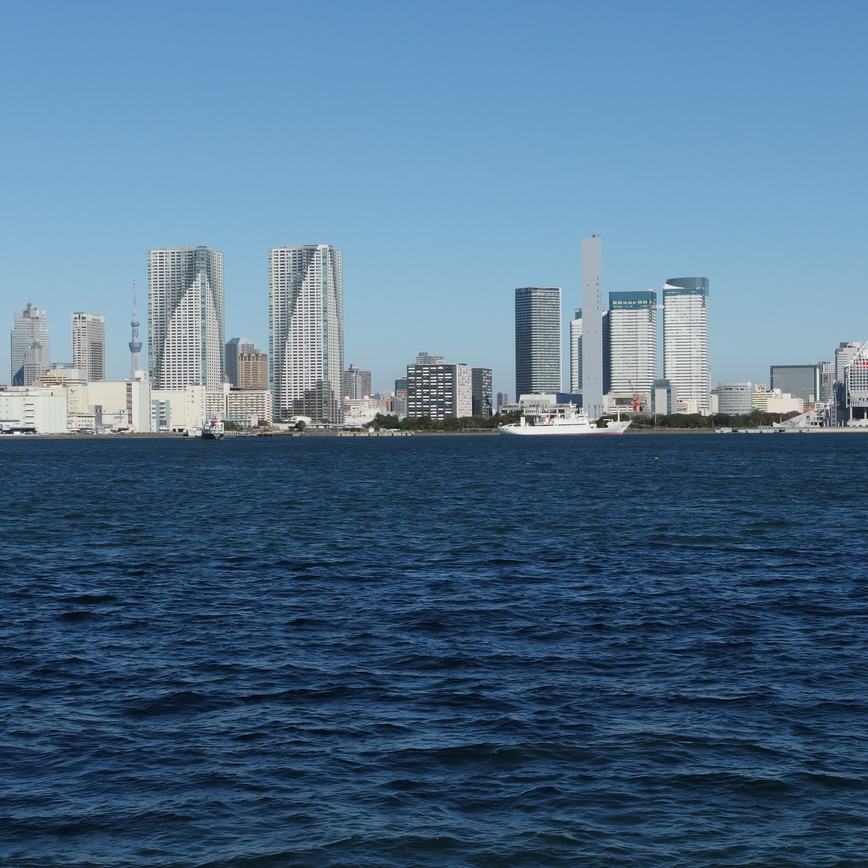 <b>1：1 / 2,976×2,976</b>