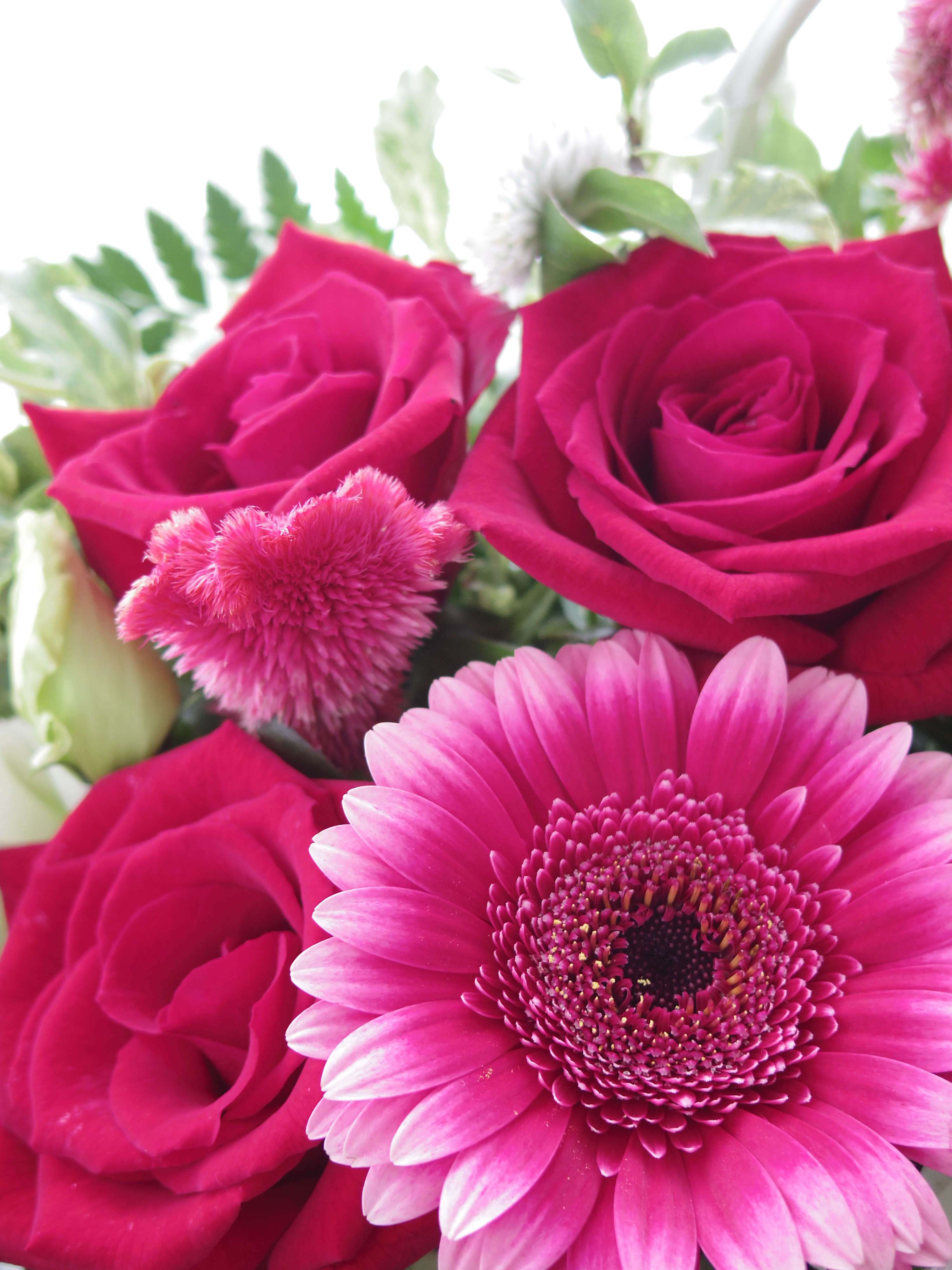 <b>Qと比較するためにISO125で撮影。「01 STANDARD PRIME」を使用。AF性能の向上はこのレンズが一番わかりやすかったです。PENTAX Q10 / 01 STANDARD PRIME / 約2.5MB / 4,000×3,000 / 1/15秒 / F1.9 / +0.7EV / ISO125 / 絞り優先AE / WB：オート / 8.5mm</b>