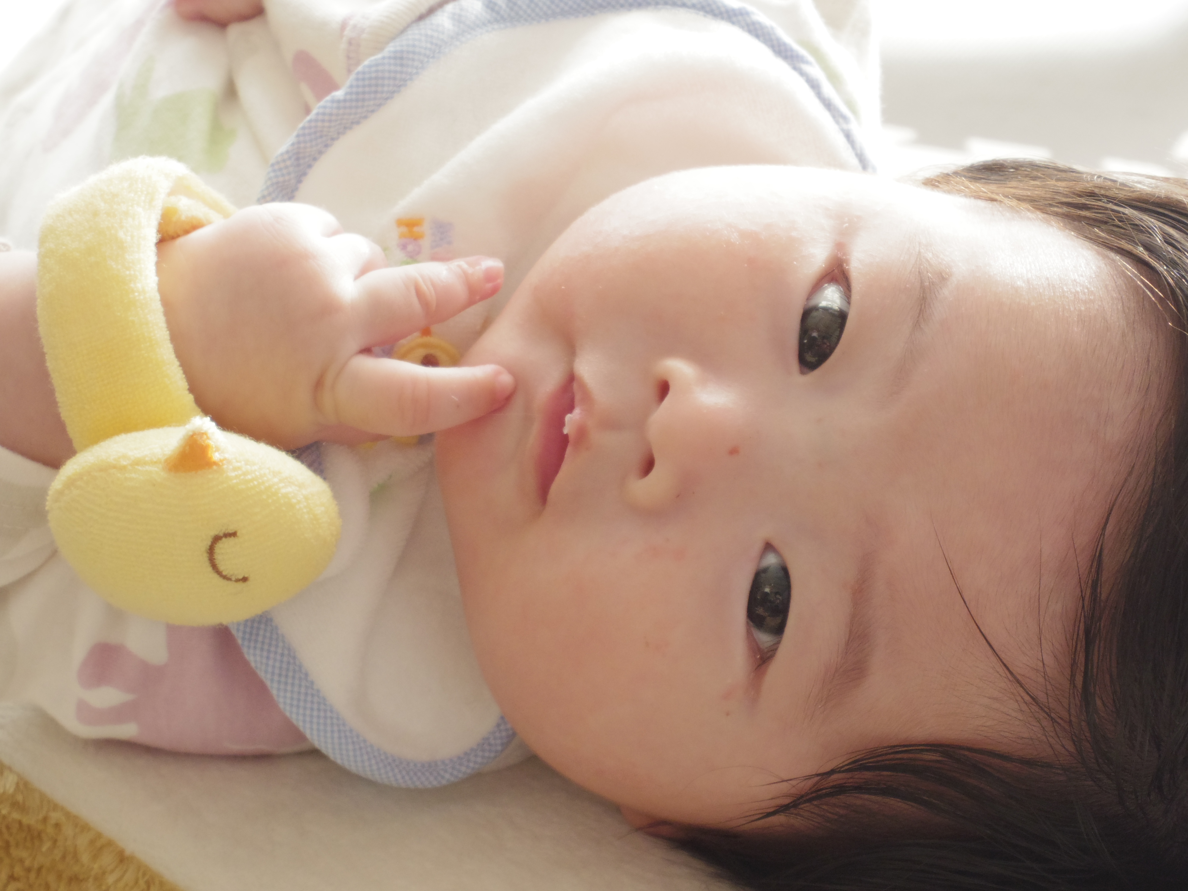 <b>「02 STANDARD ZOOM」で撮影。ズームがスムーズなのでシャッターチャンスを逃したくない撮影に便利なレンズですね。PENTAX Q10 / 02 STANDARD ZOOM / 約2.1MB / 4,000×3,000 / 1/60秒 / F4.5 / 0.0EV / ISO400 / 絞り優先AE / WB：オート / 15mm</b>