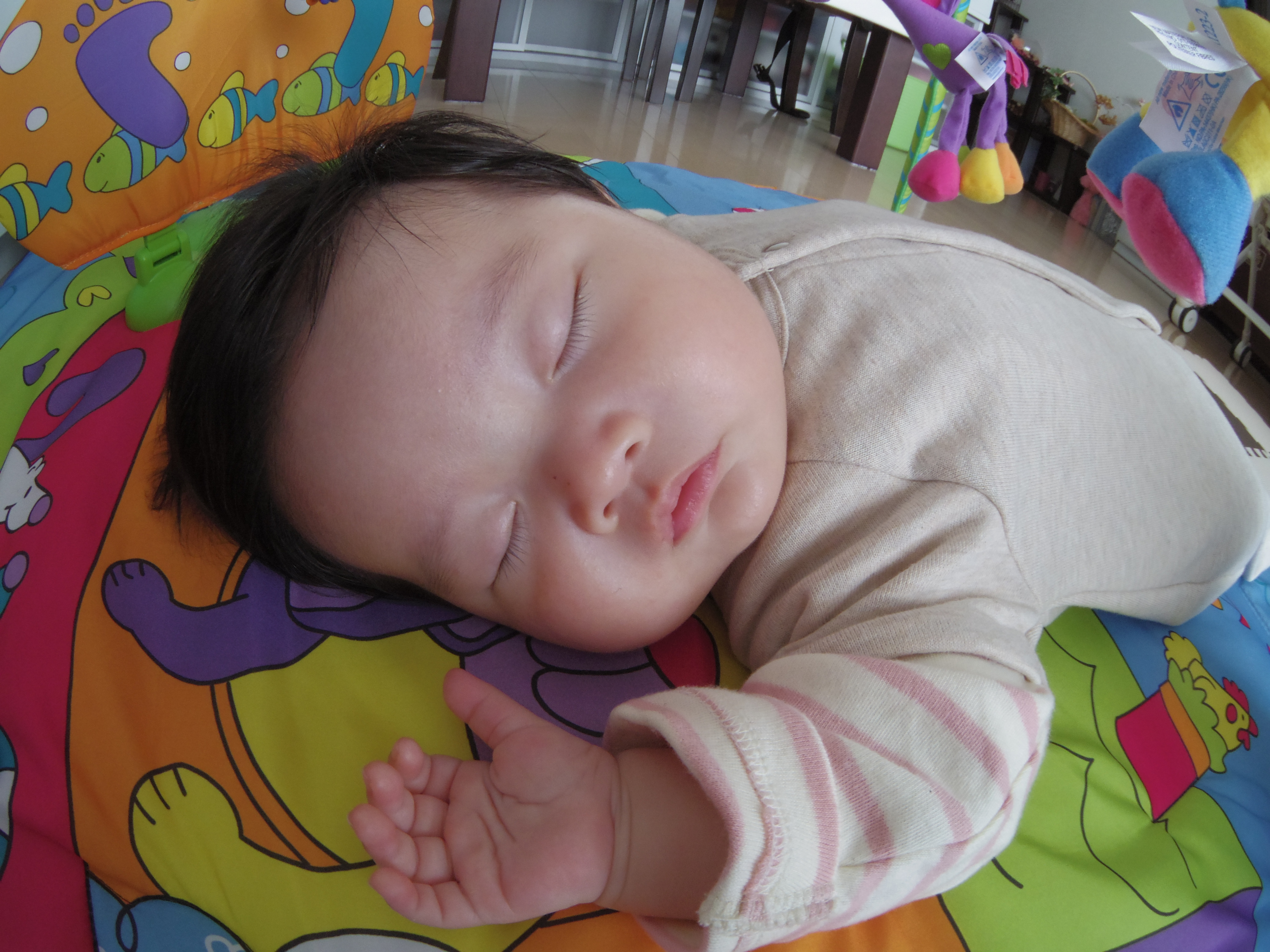 <b>寝入ったところを起きるんじゃないかとドキドキしながら「03 FISH-EYE」で撮影。鼻先に近付いてマニュアルでピントを合わせるのはものすごい緊張感でした(笑)。PENTAX Q10 / 03 FISH-EYE / 約3.4MB / 4,000×3,000 / 1/3秒 / F5.6 / 0.0EV / ISO400 / 絞り優先AE / WB：オート / 3.2mm</b>