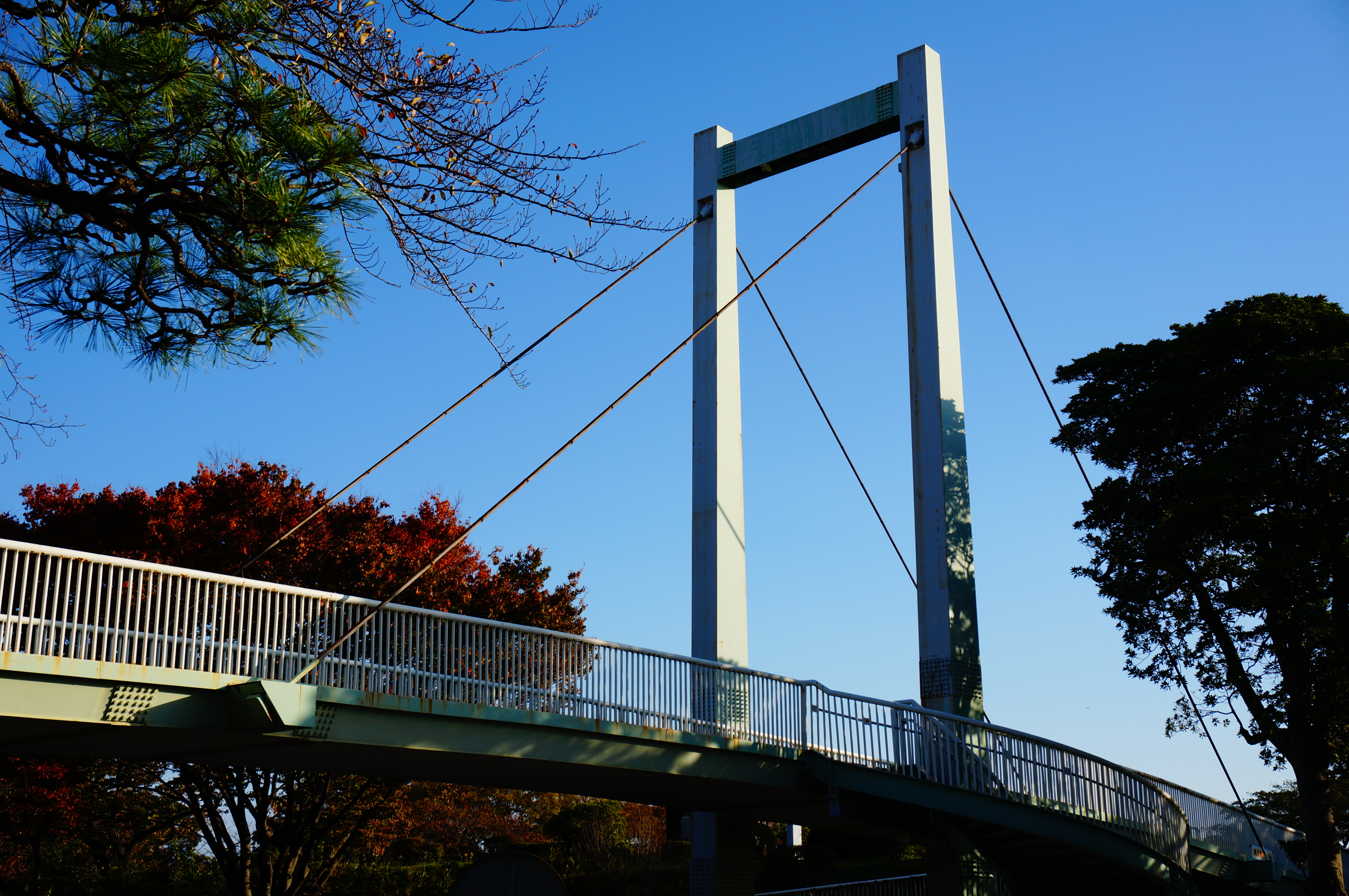 NEX-6 / E PZ 16-50mm F3.5-5.6 OSS / 約5.5MB / 4,912×3,264 / 1/200秒 / F9 / +0.3EV / ISO100 / プログラム / WB：太陽光 / 29mm