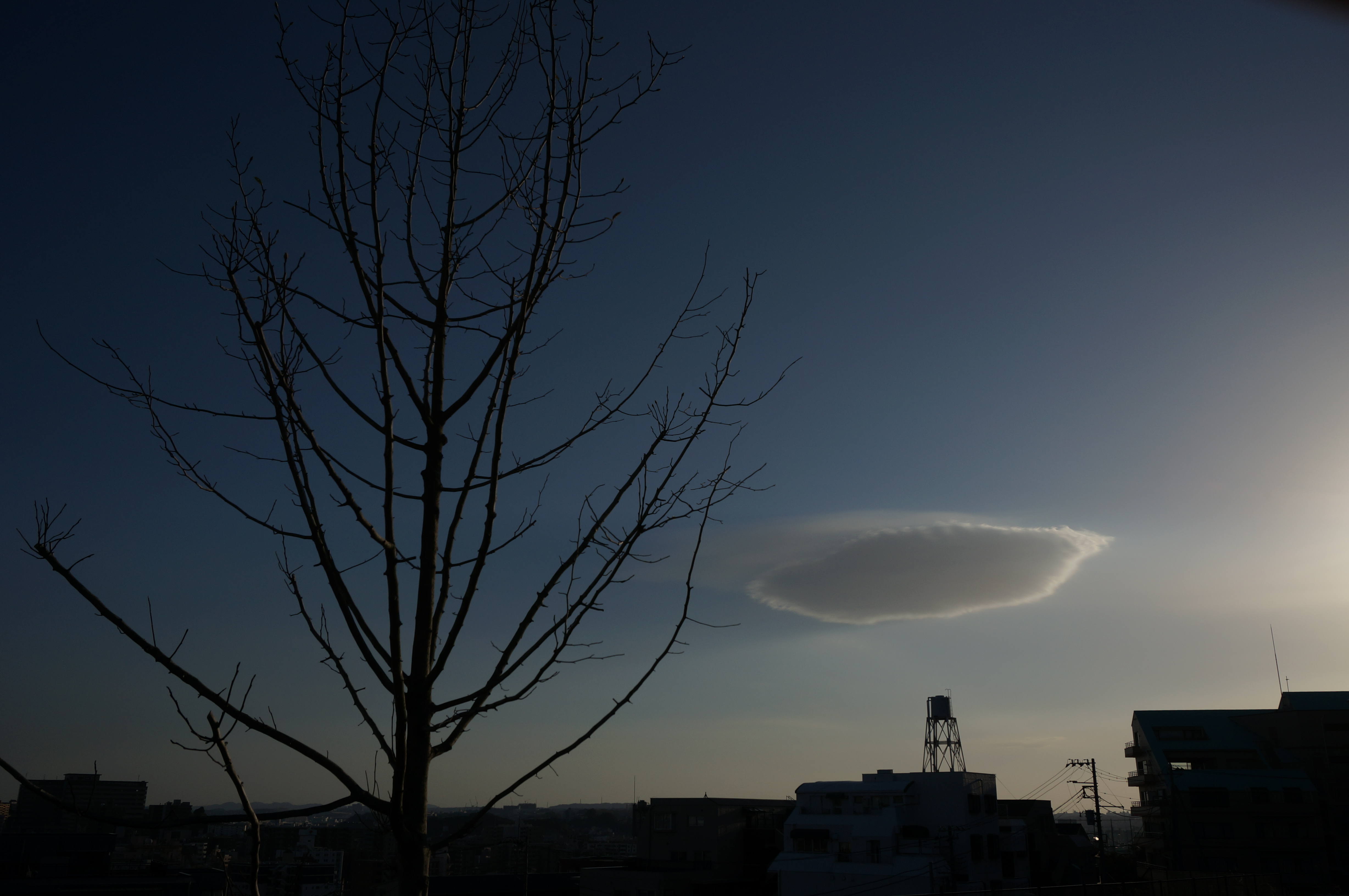 NEX-6 / E PZ 16-50mm F3.5-5.6 OSS / 約2.9MB / 4,912×3,264 / 1/1250秒 / F9 / -1EV / ISO100 / プログラム / WB：オート / 20mm