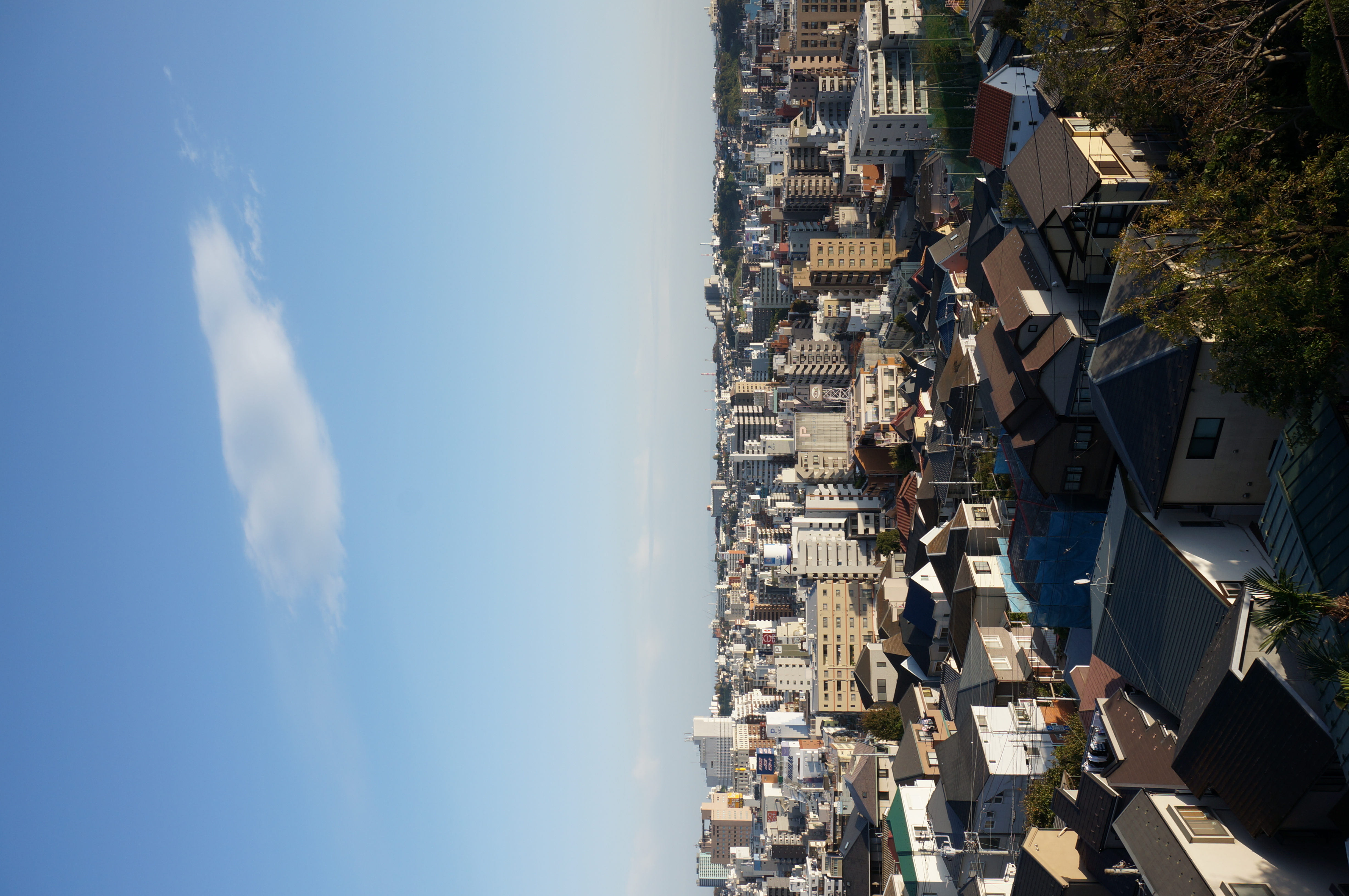 NEX-6 / E PZ 16-50mm F3.5-5.6 OSS / 約4.3MB / 3,264×4,912 / 1/160秒 / F9 / +0.3EV / ISO100 / プログラム / WB：オート / 21mm