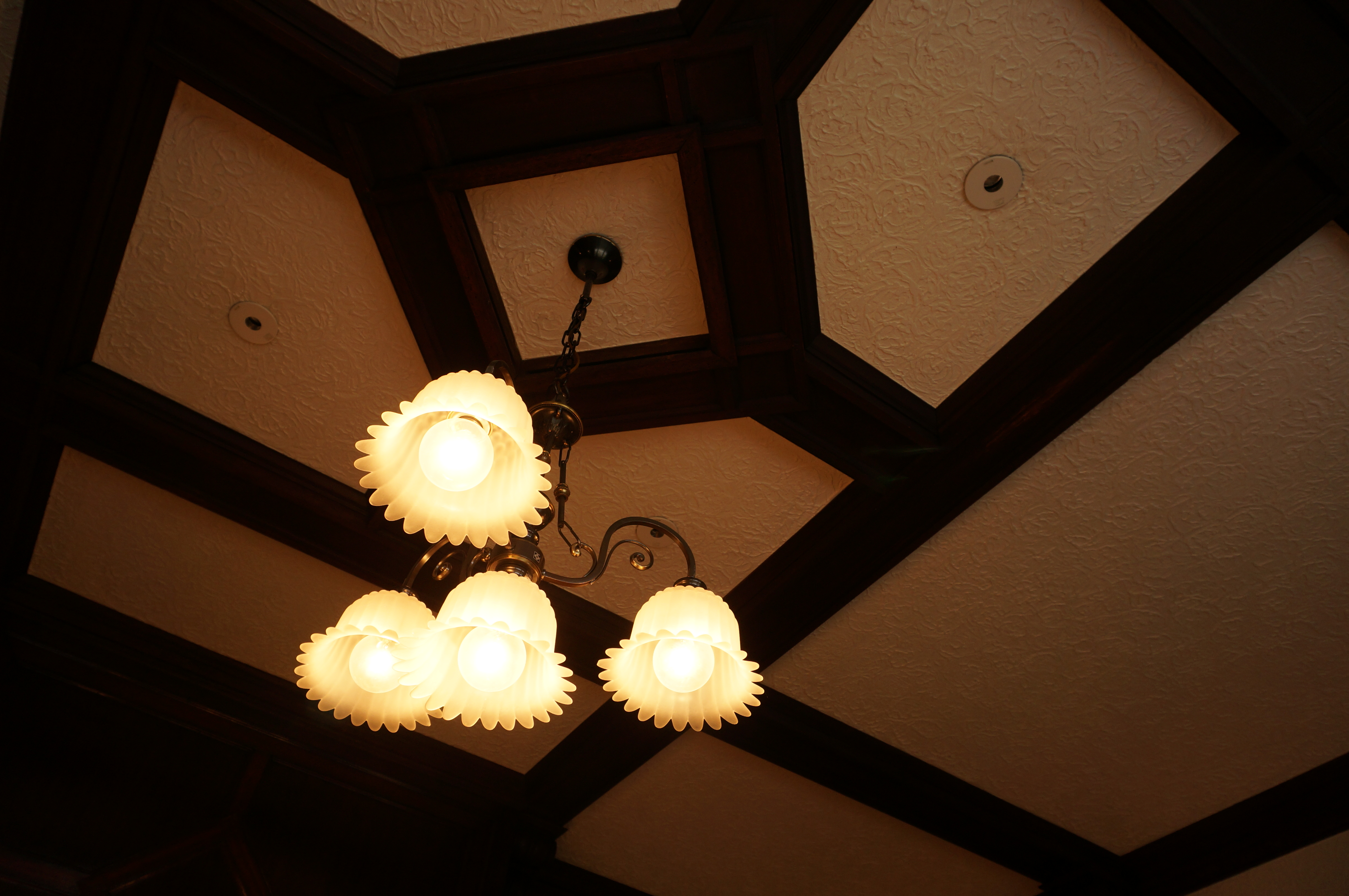 NEX-6 / E PZ 16-50mm F3.5-5.6 OSS / 約3.3MB / 4,912×3,264 / 1/60秒 / F5.6 / 0EV / ISO320 / 絞り優先AE / WB：曇天 / 16mm