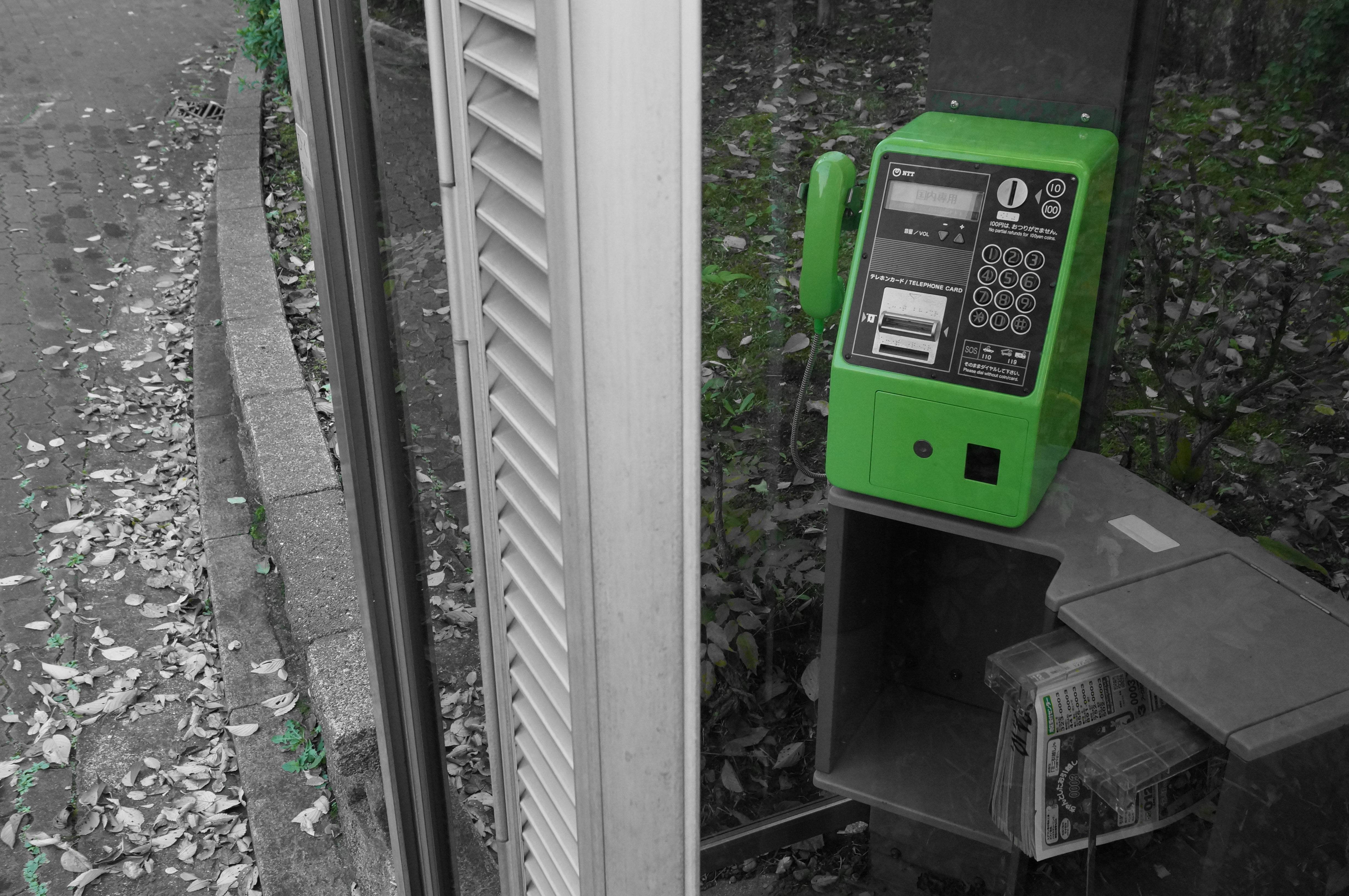 NEX-6 / E PZ 16-50mm F3.5-5.6 OSS / 約4.7MB / 4,912×3,264 / 1/60秒 / F8 / -0.3EV / ISO1250 / 絞り優先AE / WB：太陽光 / 24mm / ピクチャーエフェクト：パートカラー（グリーン）