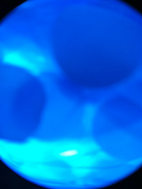 なかなかパラシュートが開かないので、ビニール風呂敷の柄が写っている。