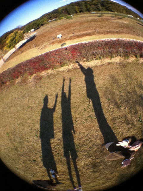 結局、うまく撮影できたカットはなし。この影はちょっと面白いけど。