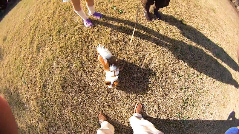 ボールカメラを投げる直前。精神統一中。