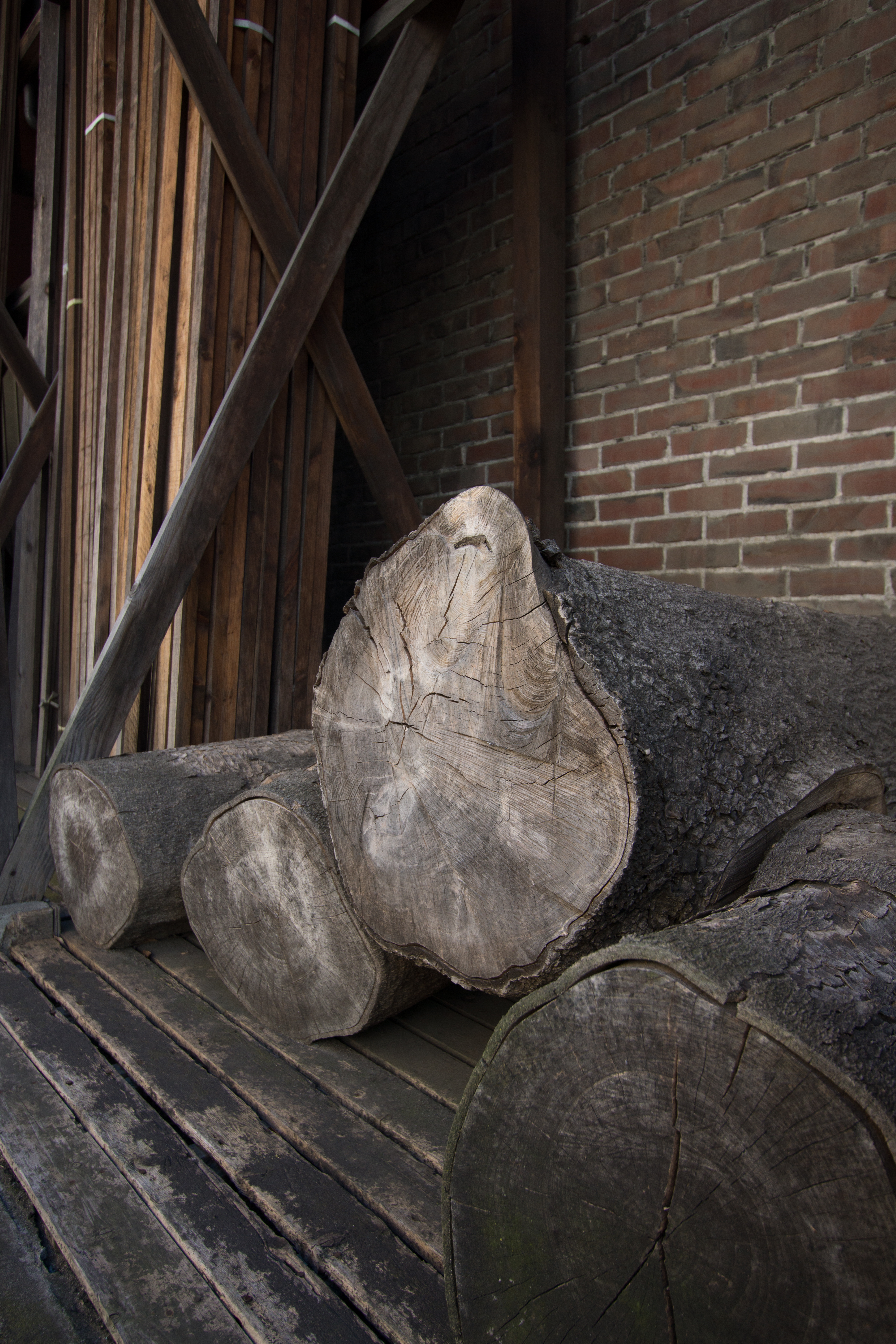 NEX-7 / EF-S 10-22mm F3.5-4.5 USM / 6,000×4,000 / 1/200秒 / F4.5 / -0.7EV / ISO200 / WB:オート / 17mm