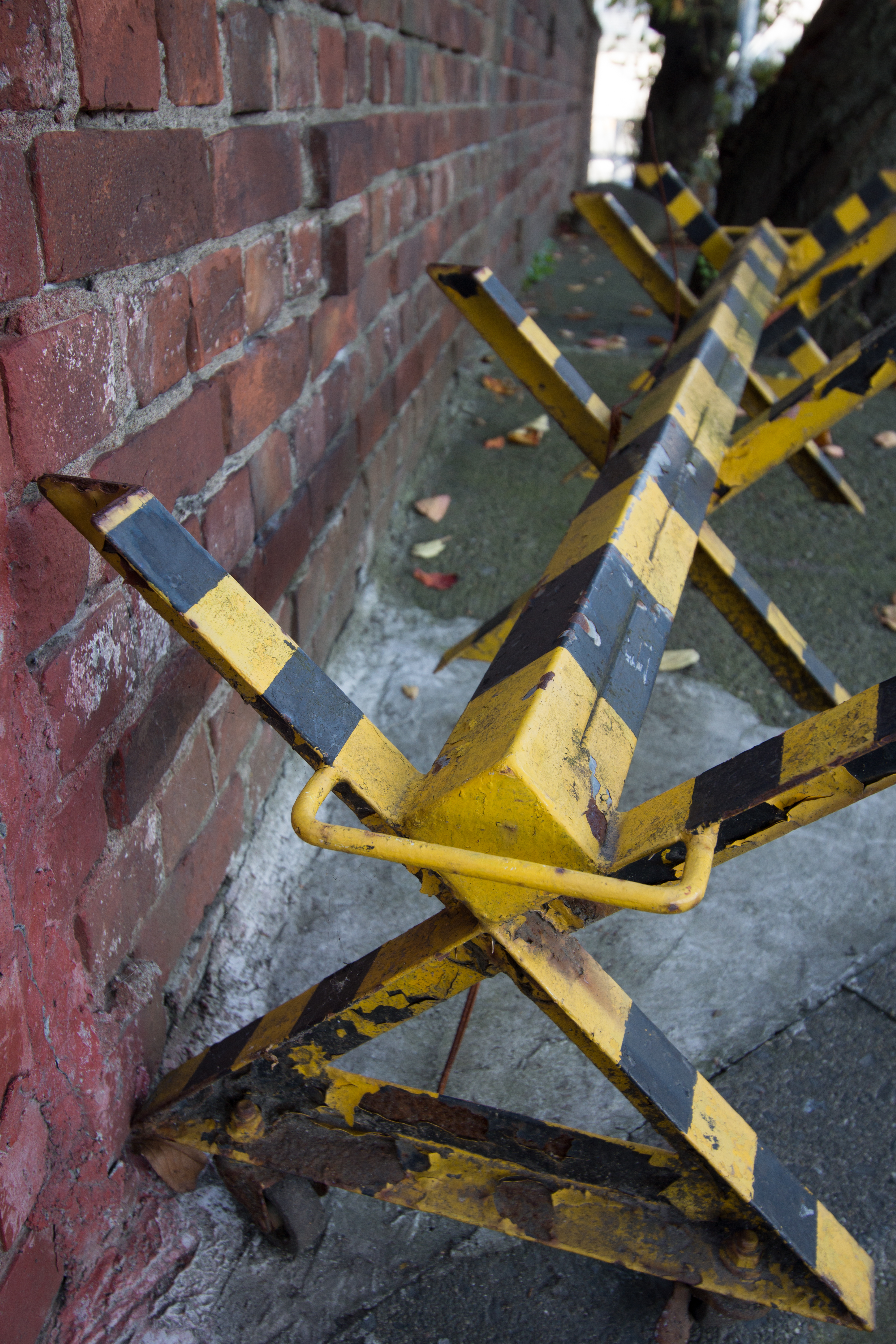 NEX-7 / EF-S 10-22mm F3.5-4.5 USM / 6,000×4,000 / 1/50秒 / F5.6 / 0EV / ISO200 / WB:オート / 22mm