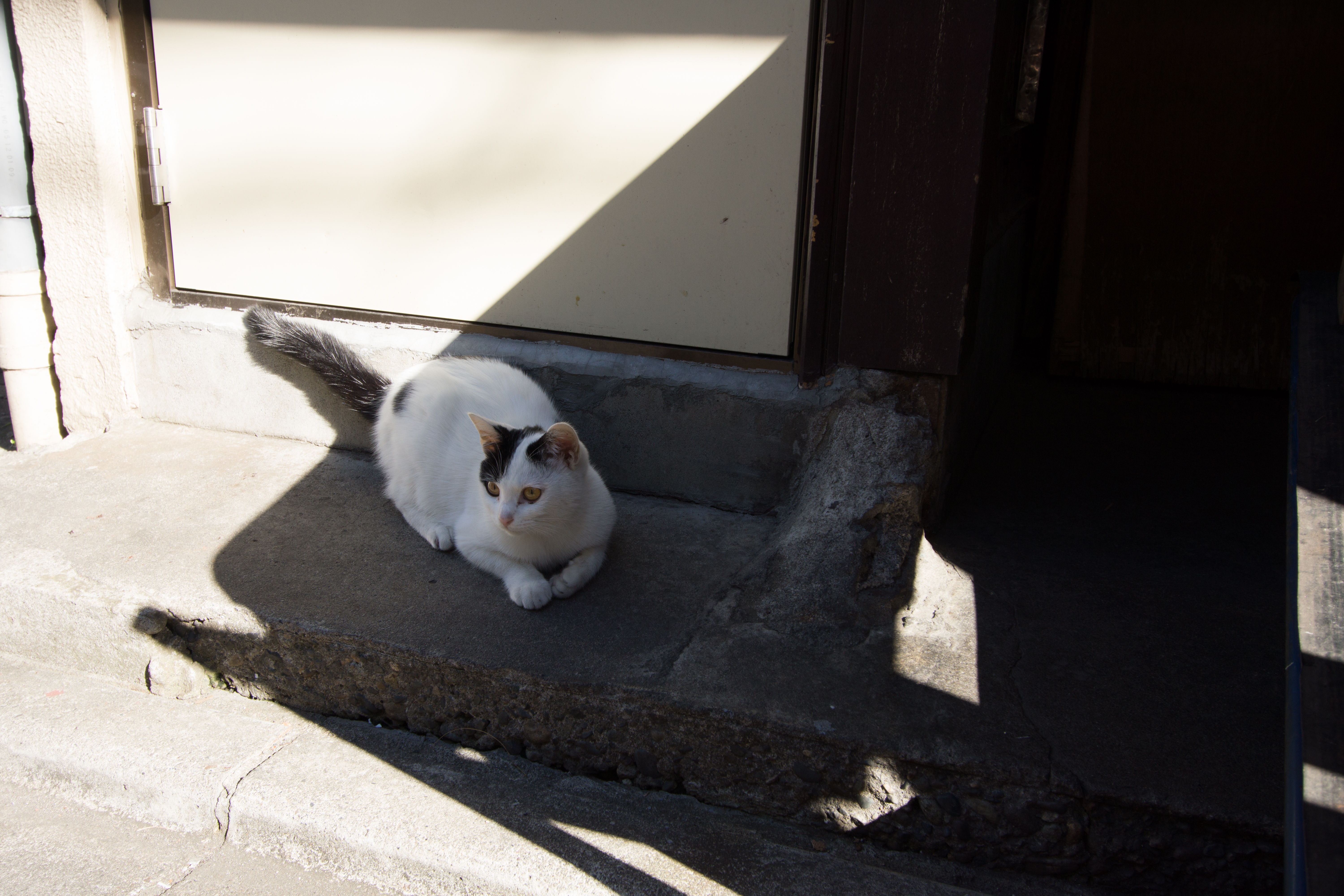 NEX-7 / EF-S 10-22mm F3.5-4.5 USM / 6,000×4,000 / 1/125秒 / F8 / 0EV / ISO200 / WB:オート / 22mm