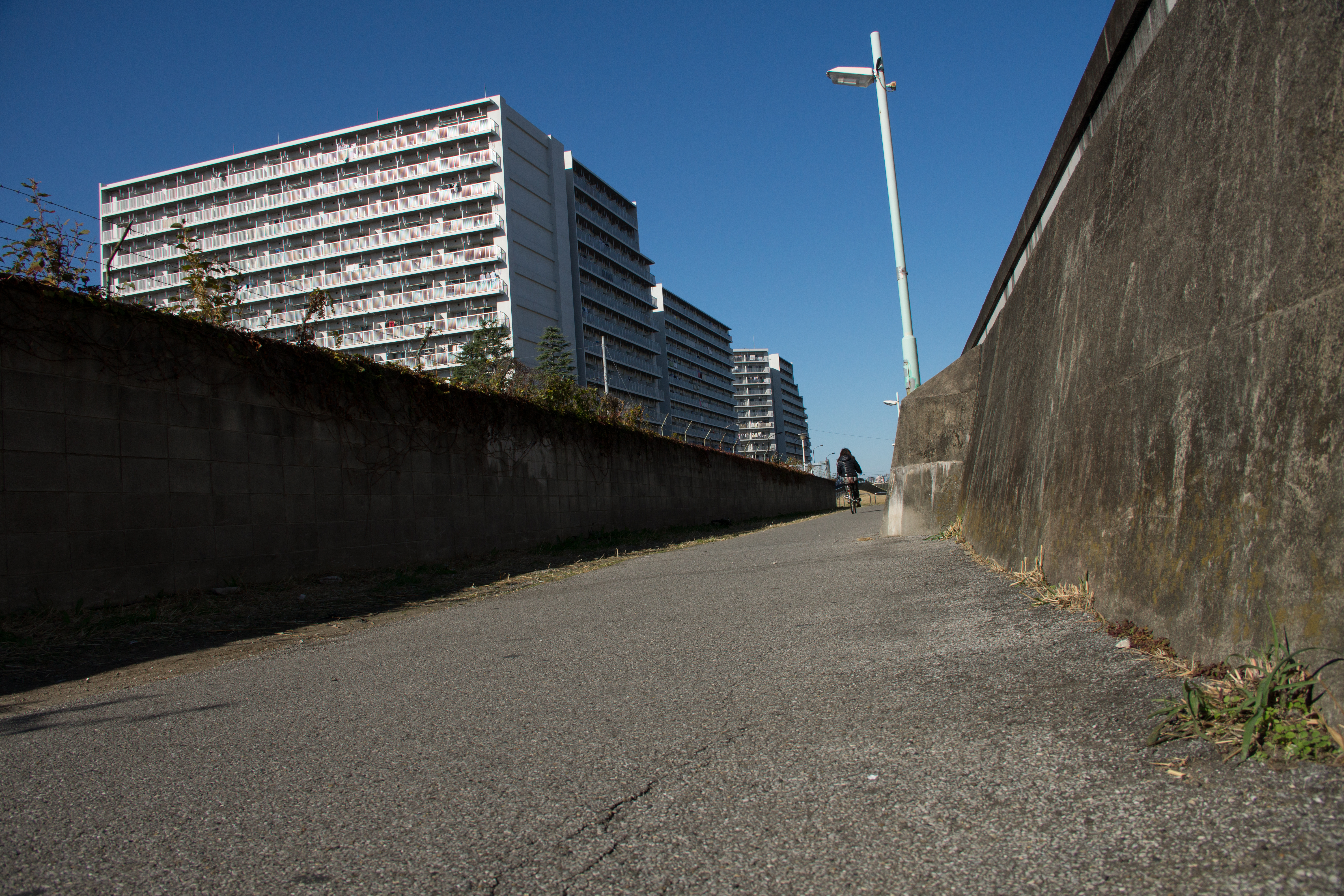 NEX-7 / EF-S 18-135mm F3.5-5.6 IS / 6,000×4,000 / 1/1,250秒 / F8 / 0EV / ISO200 / WB:オート / 18mm