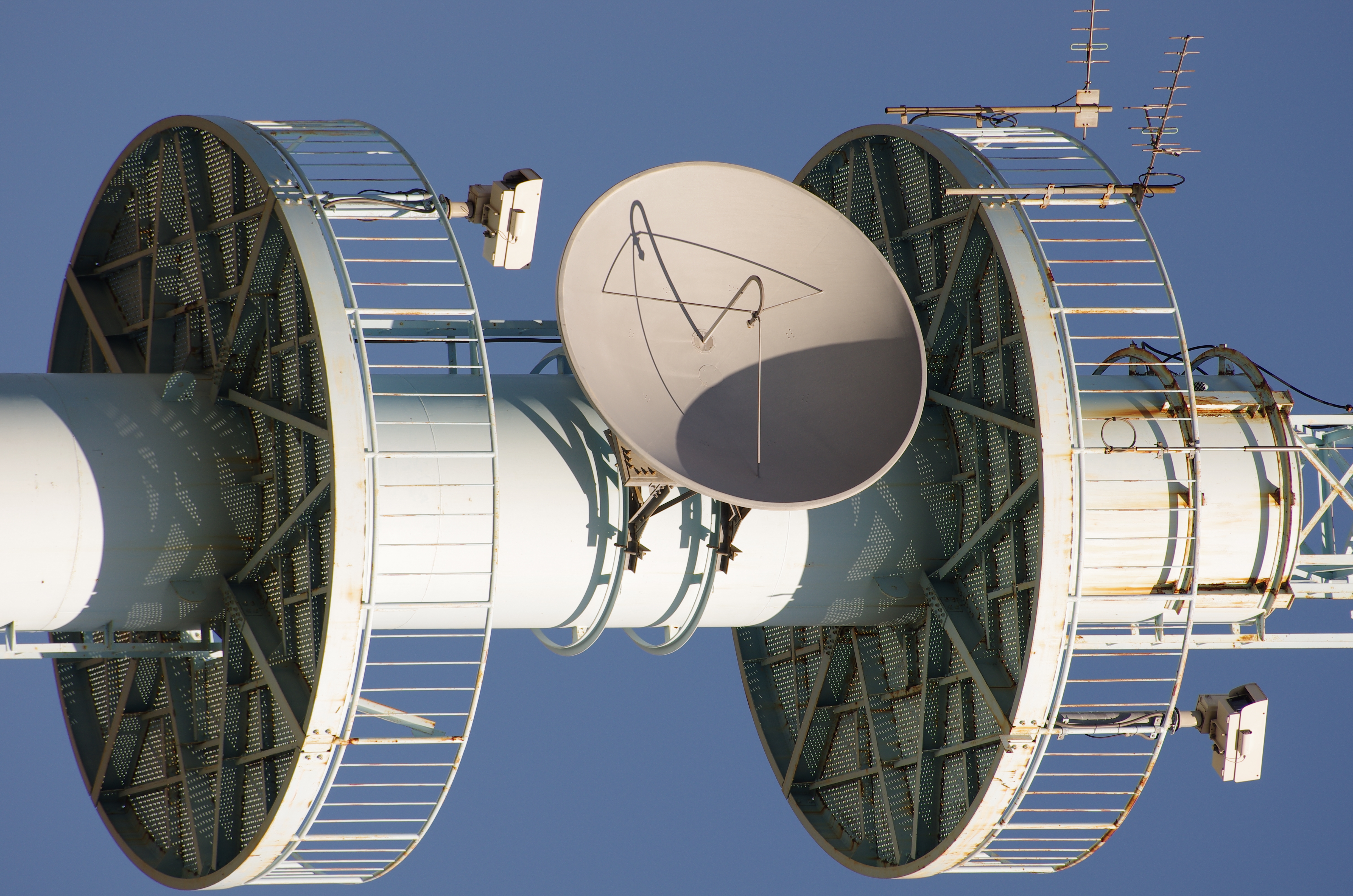 少しカラーフリンジらしきものが見えるが、レンズの解像力はさすがに高い。PENTAX K-5 IIs / DA★60-250mm F4 ED [IF] SDM / 約9.9MB / 3,264×4,928 / 1/500秒 / F5.6 / 0EV / ISO100 / シャッター&amp;絞り優先 / WB：日陰 / 250mm