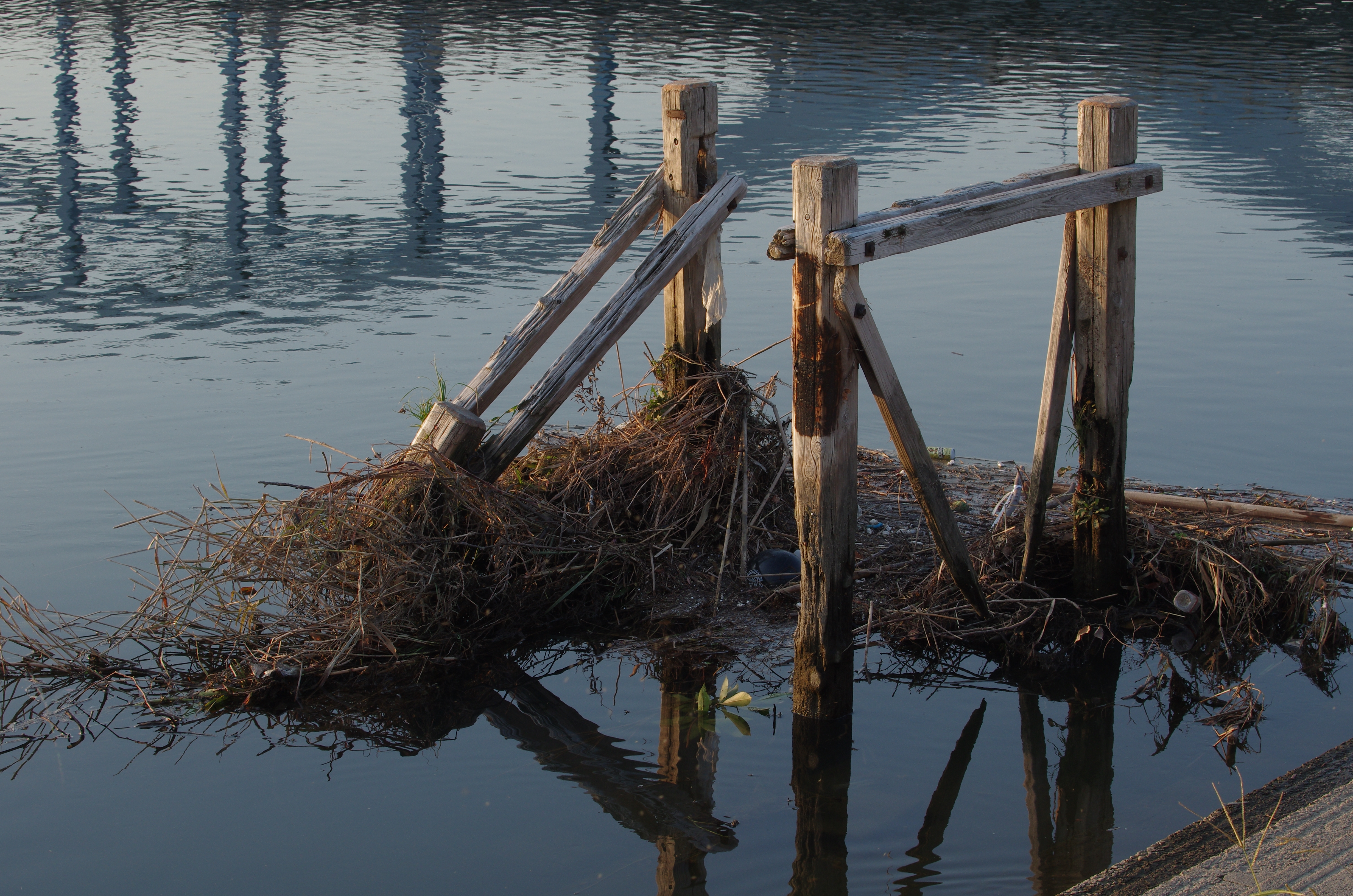 PENTAX K-5 IIs / DA★60-250mm F4 ED [IF] SDM / 約11.3MB / 4,928×3,264 / 1/80秒 / F10 / -0.7EV / ISO320 / シャッター&amp;絞り優先 / WB：太陽光 / 60mm