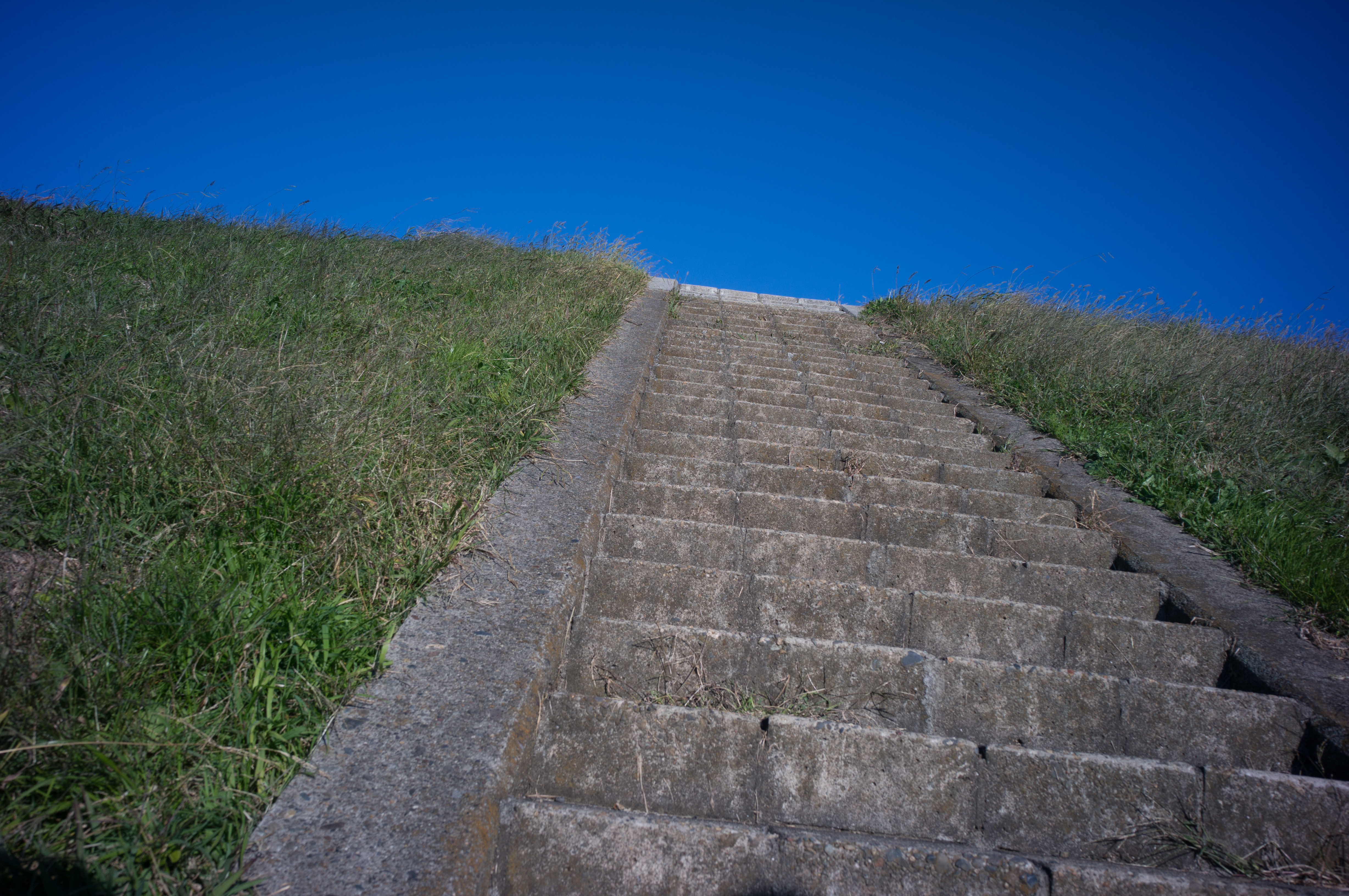 NEX-6 / GR Lens 21mm F3.5 / 4,912×3,264 / 1/400秒 / F8 / 0EV / ISO100 / WB:オート / 21mm