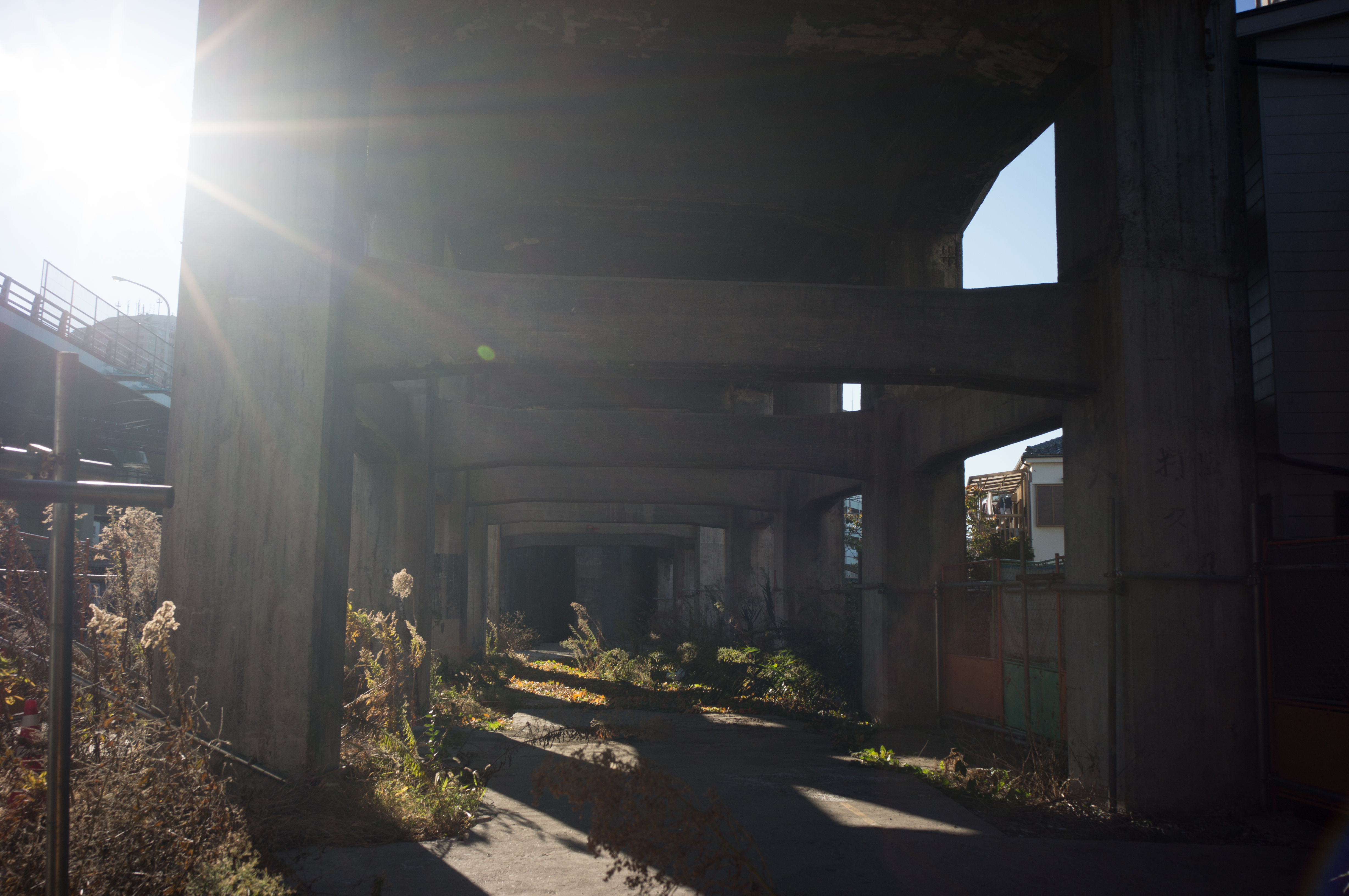 NEX-6 / GR Lens 21mm F3.5 / 4,912×3,264 / 1/160秒 / F8 / -0.7EV / ISO100 / WB:オート / 21mm