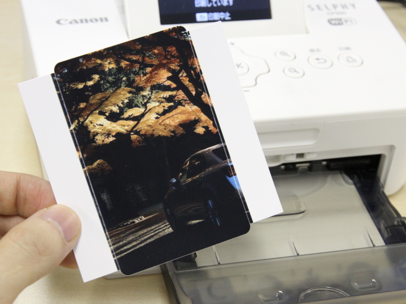 余裕ある画質だが、カードサイズの楽しさも捨て難い