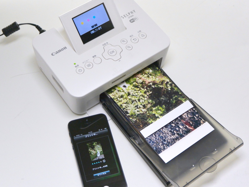 iPhoneの「Easy-PhotoPrint」アプリからプリントしているところ